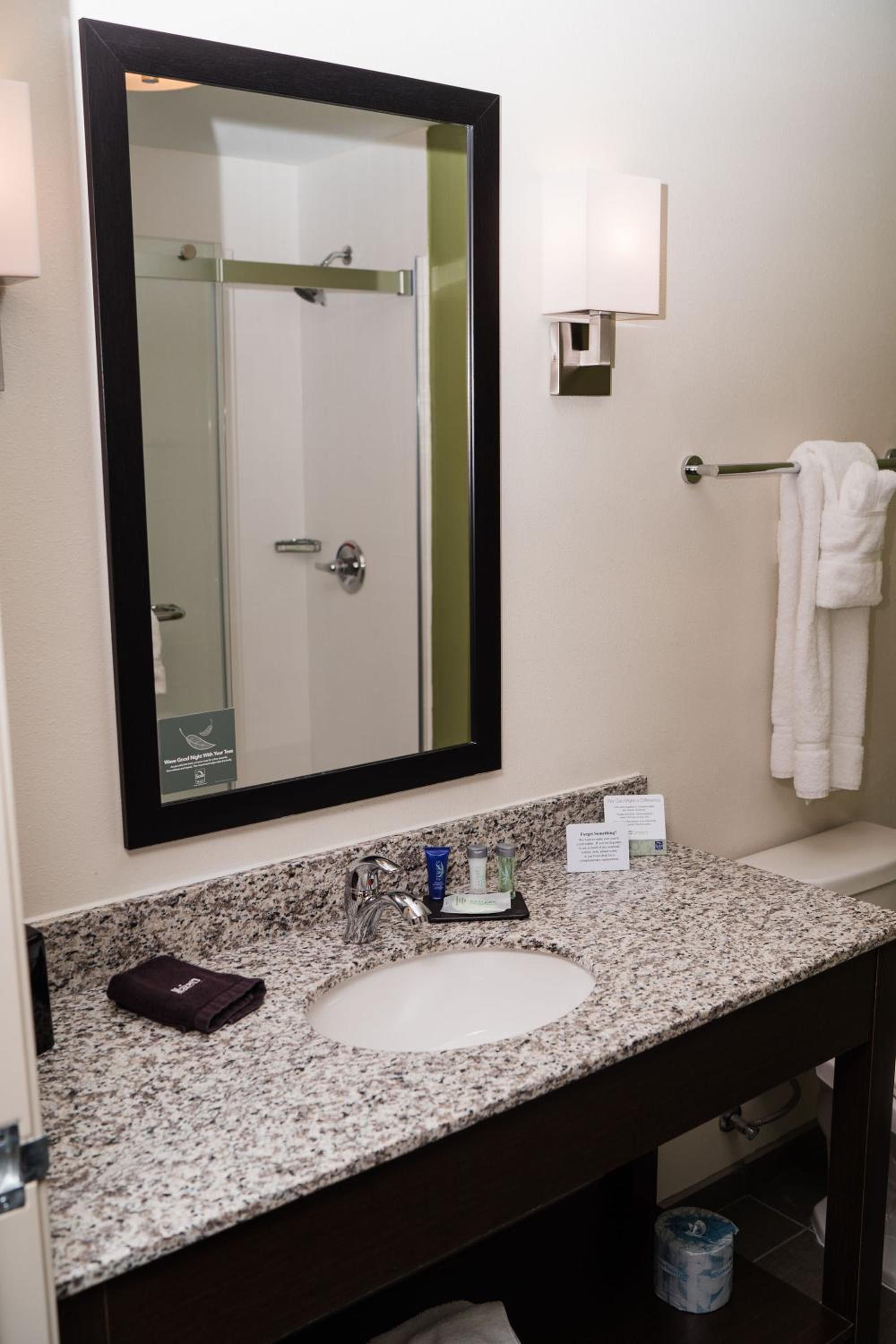 MainStay Suites at Discovery Park of America, 사진 3