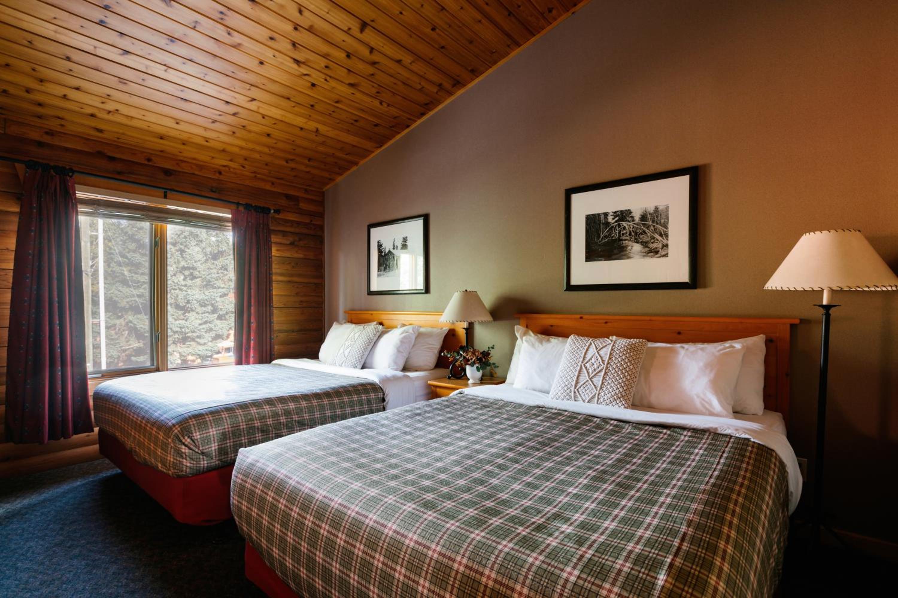 Cedar Lodge Suite - 3 Queens with Sofa photo 2