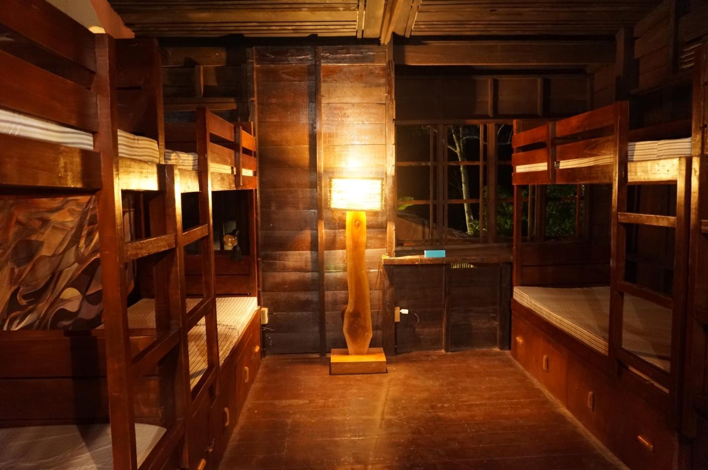 Bunk Bed in Mixed Dormitory Room photo 2