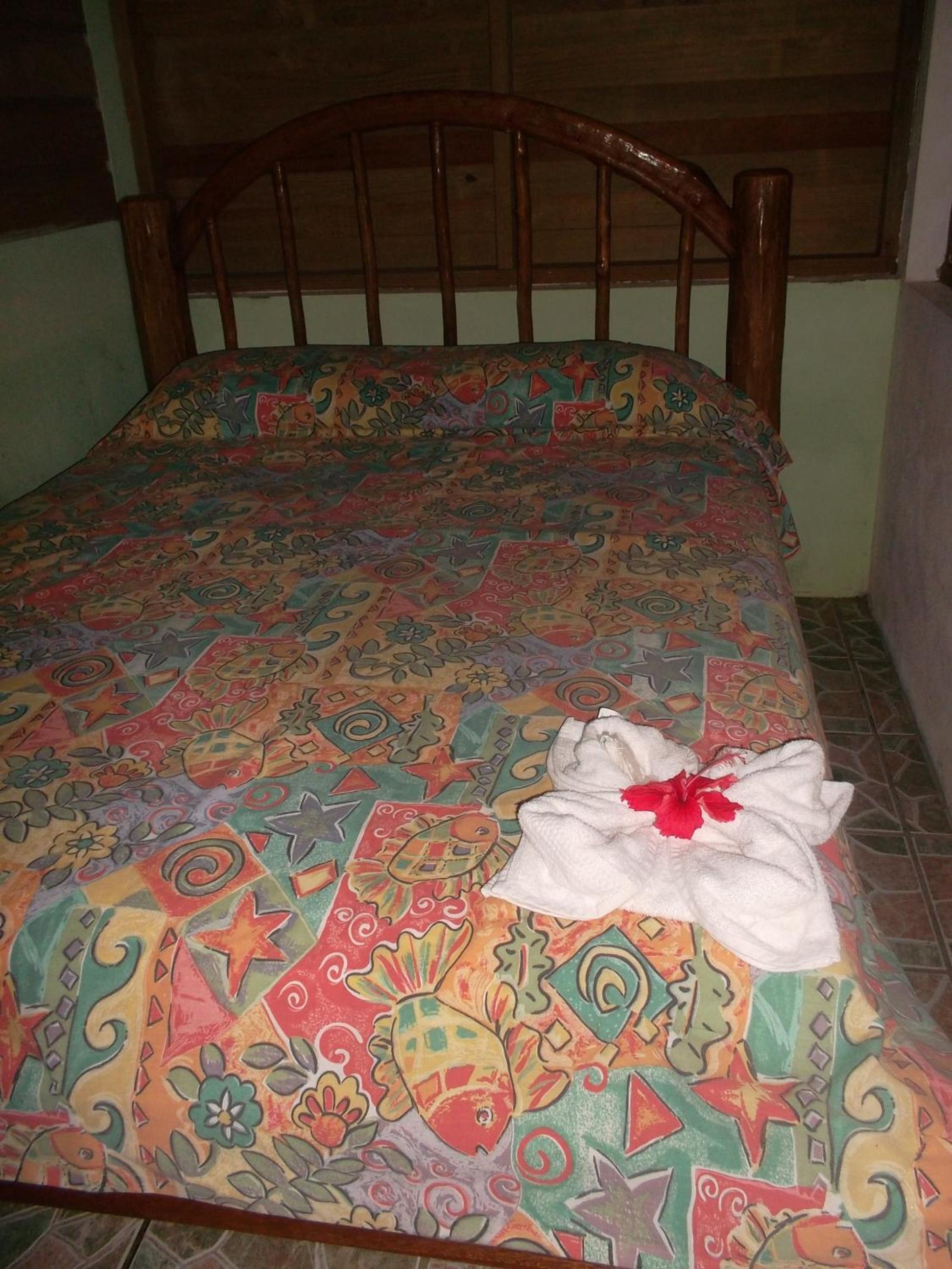 Double Room with Private Bathroom photo 1