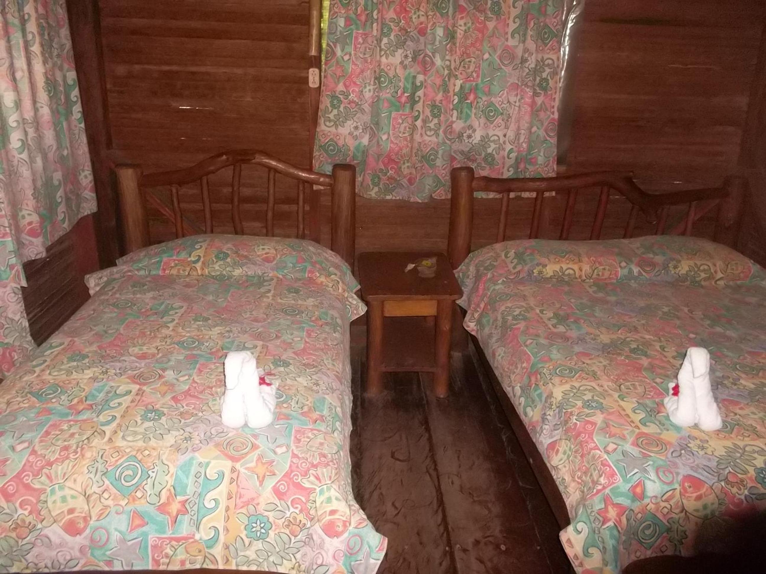 Twin Room photo 1