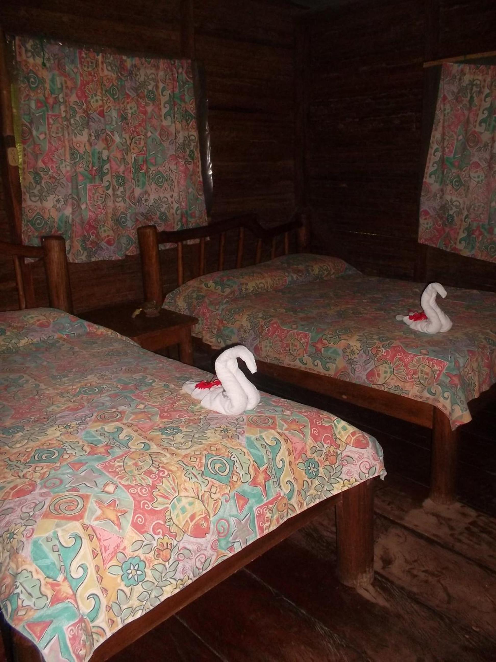 Twin Room photo 2