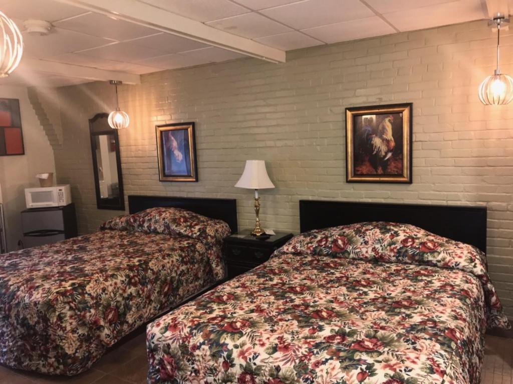 Quadruple Room photo 1