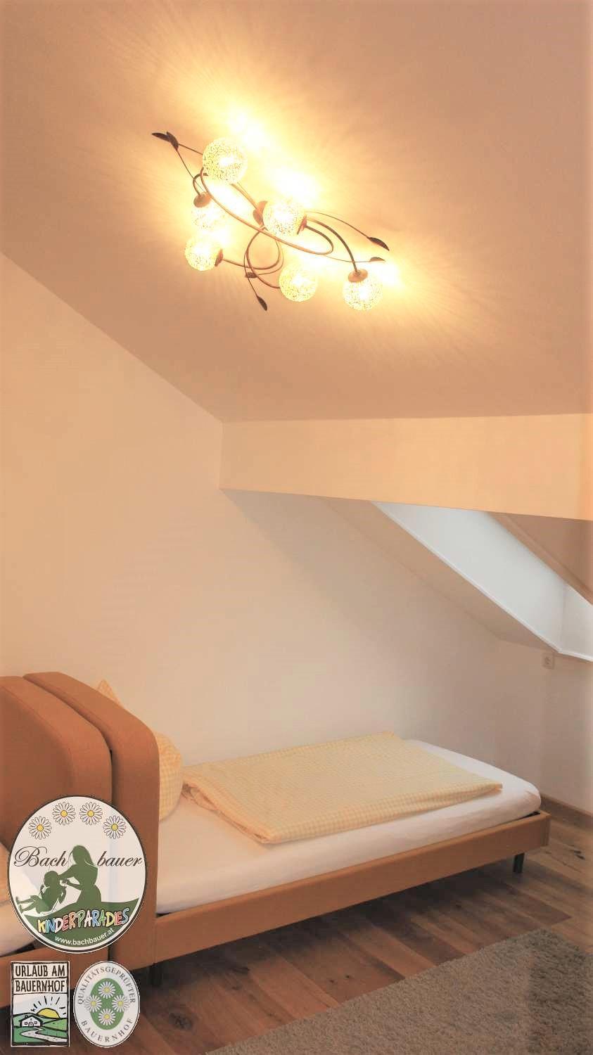 One-Bedroom Apartment - Attic and Mountain View   photo 3