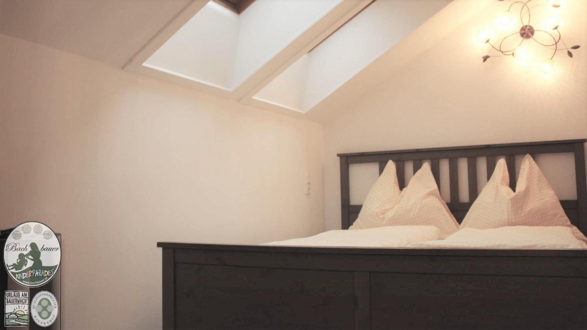 One-Bedroom Apartment - Attic and Mountain View   photo 2