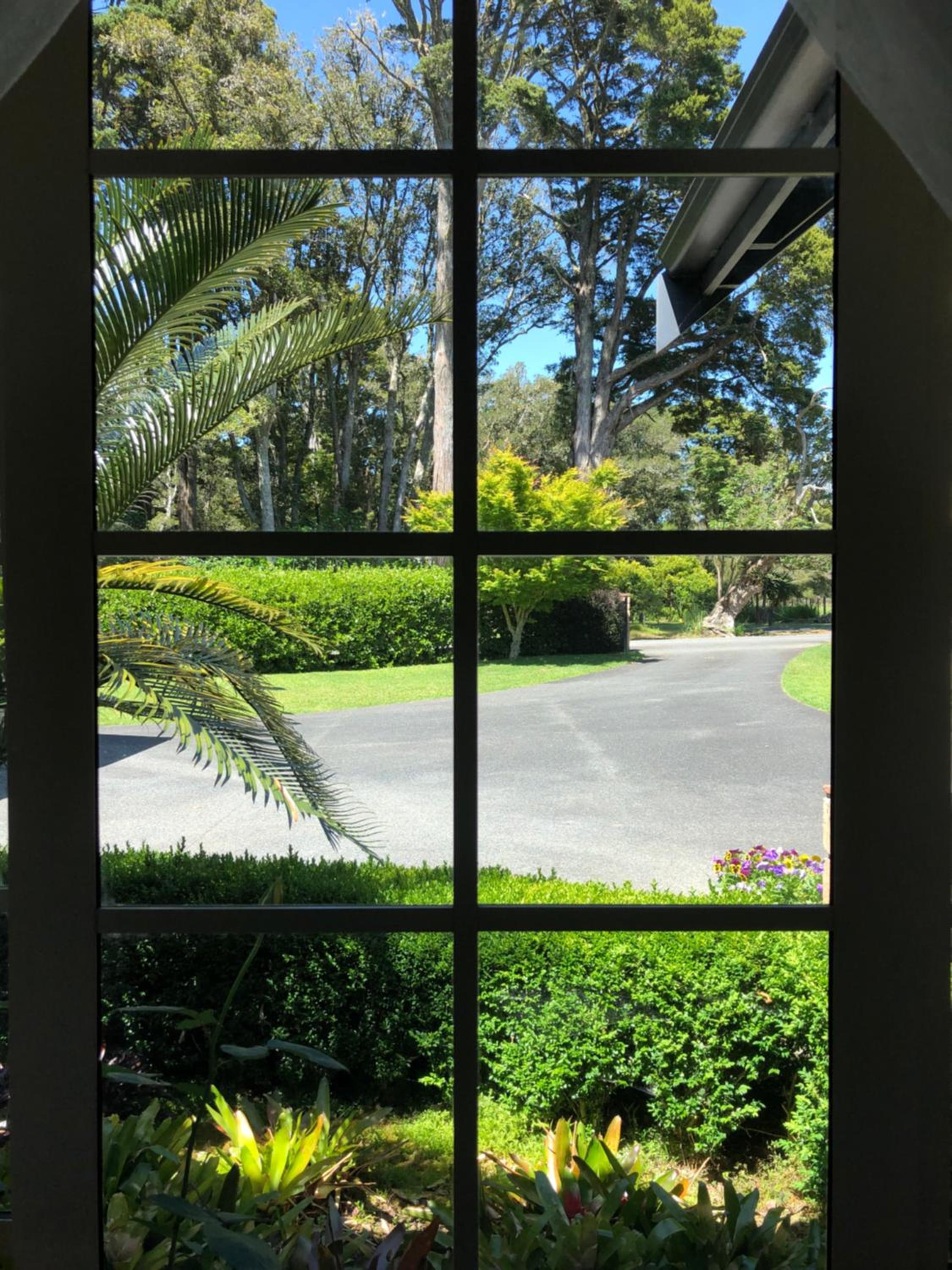 Single Room With Garden View photo 2