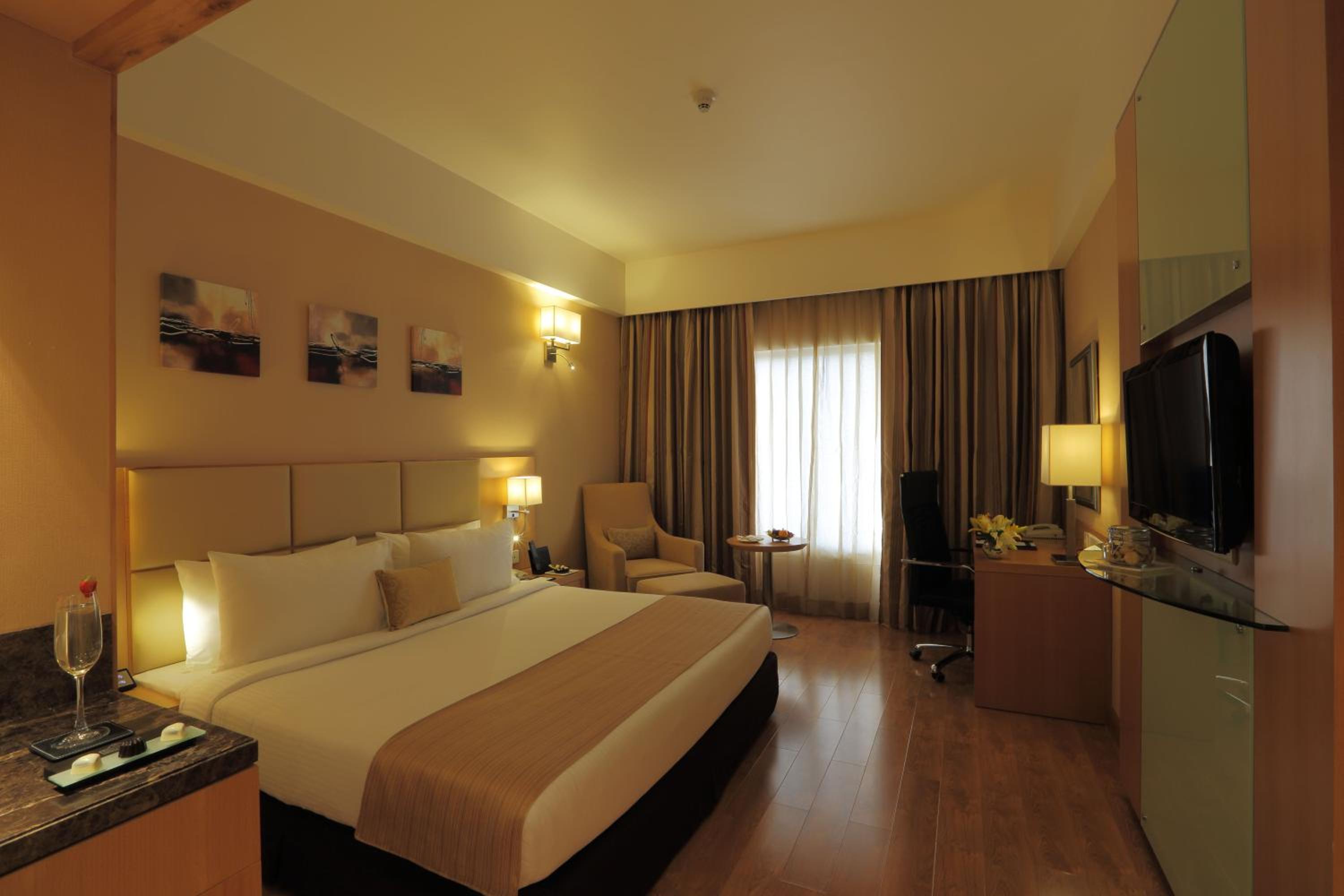 Deluxe Double Room photo 1