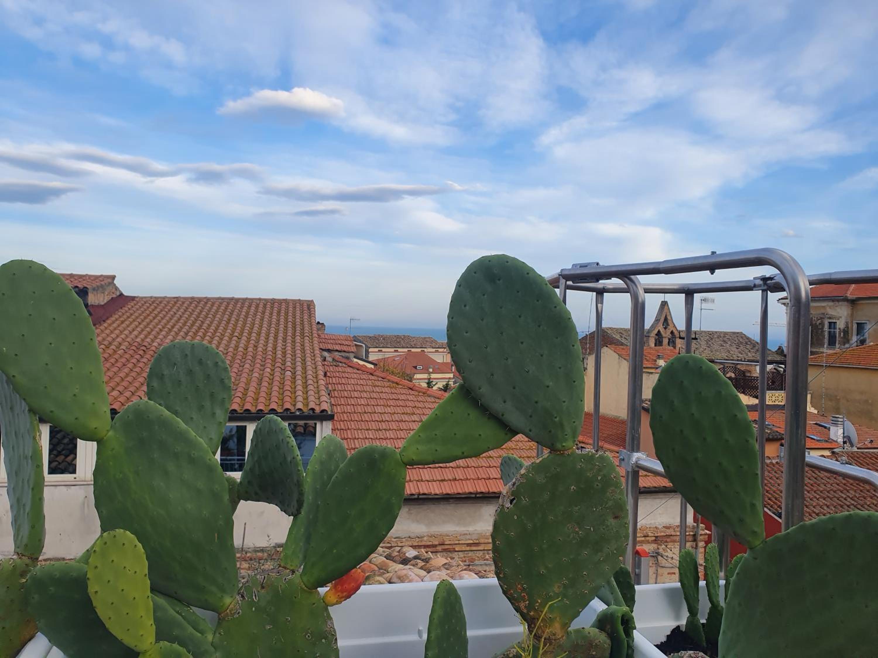 Apartment with Terrace - Photo 40