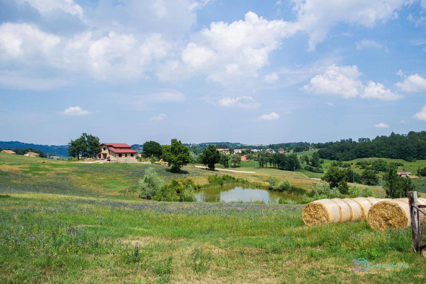 Antiche Vie B&B, Billede 42