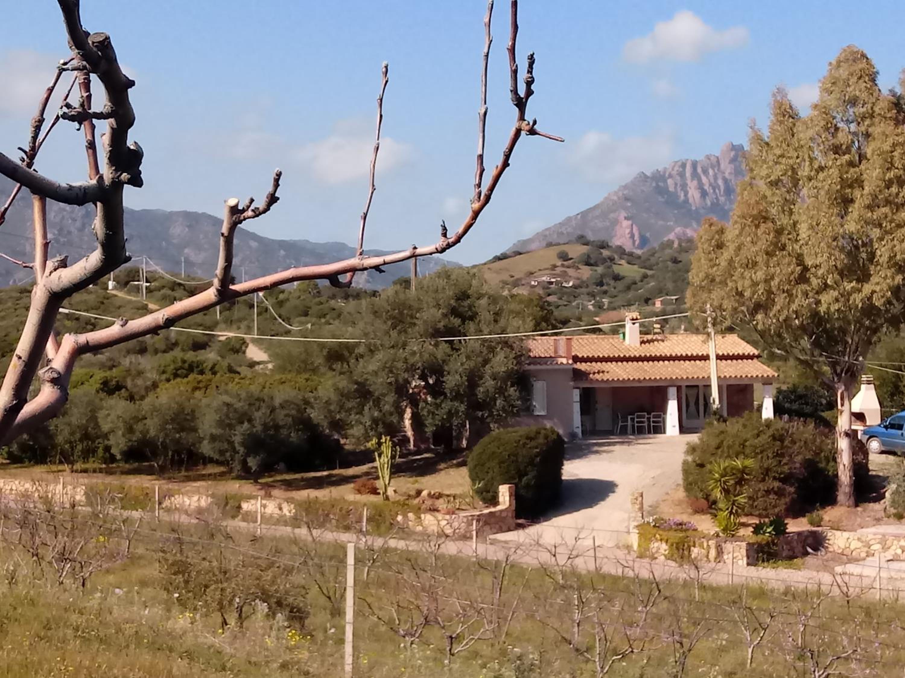 Holiday Home photo 2