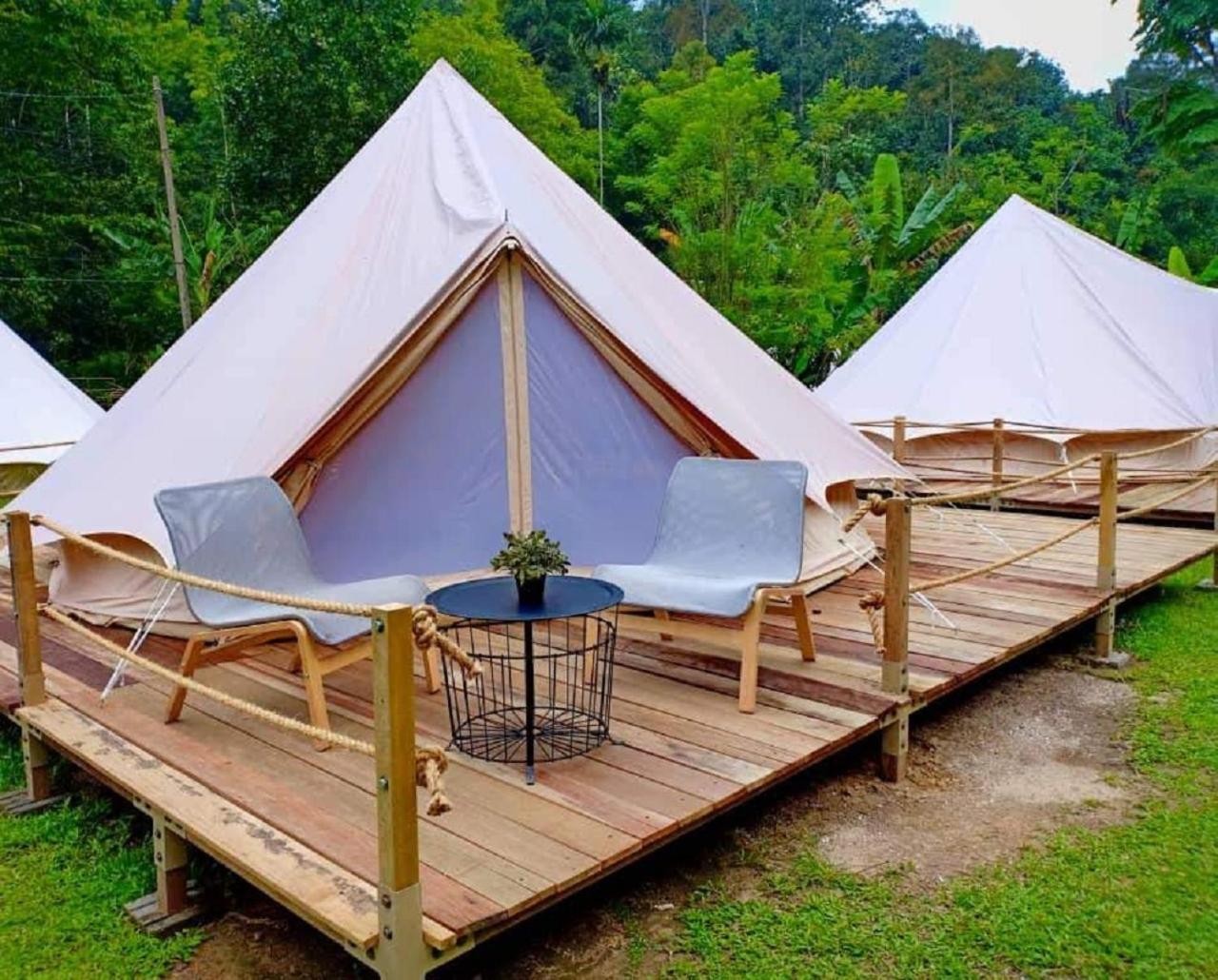 Luxury Bell Tent  photo 1