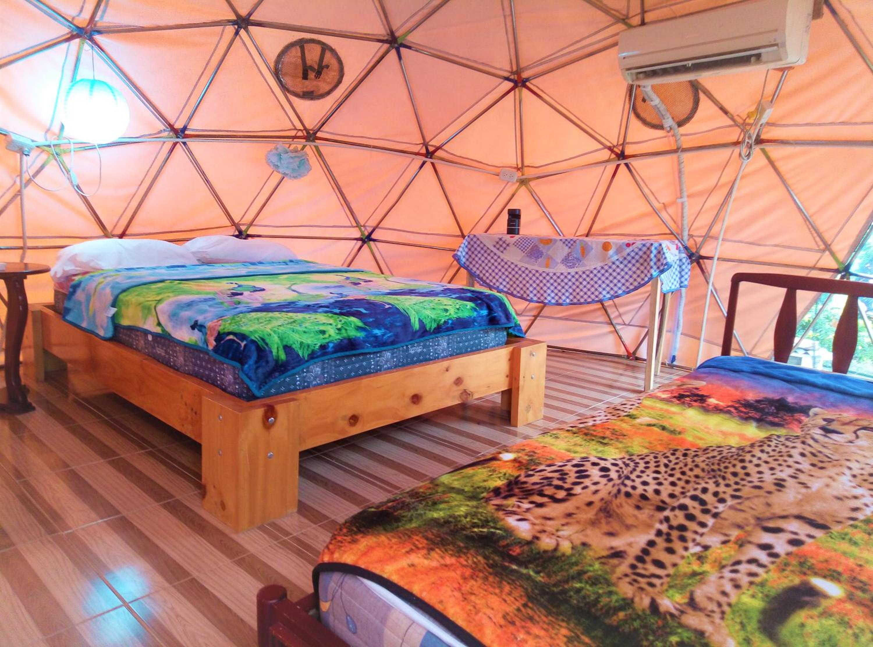 Double or Twin Room photo 1