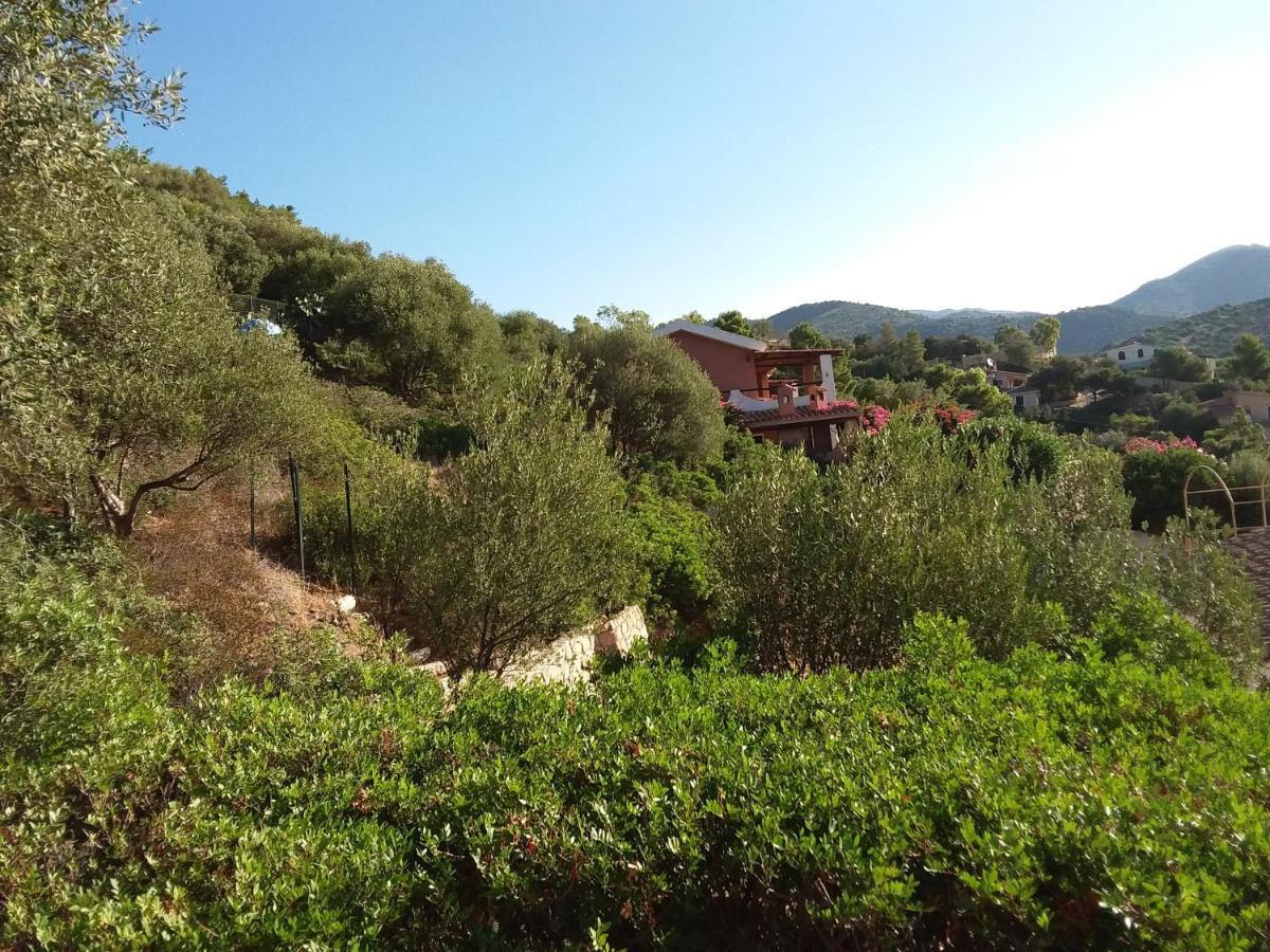 Villa with Sea View photo 1