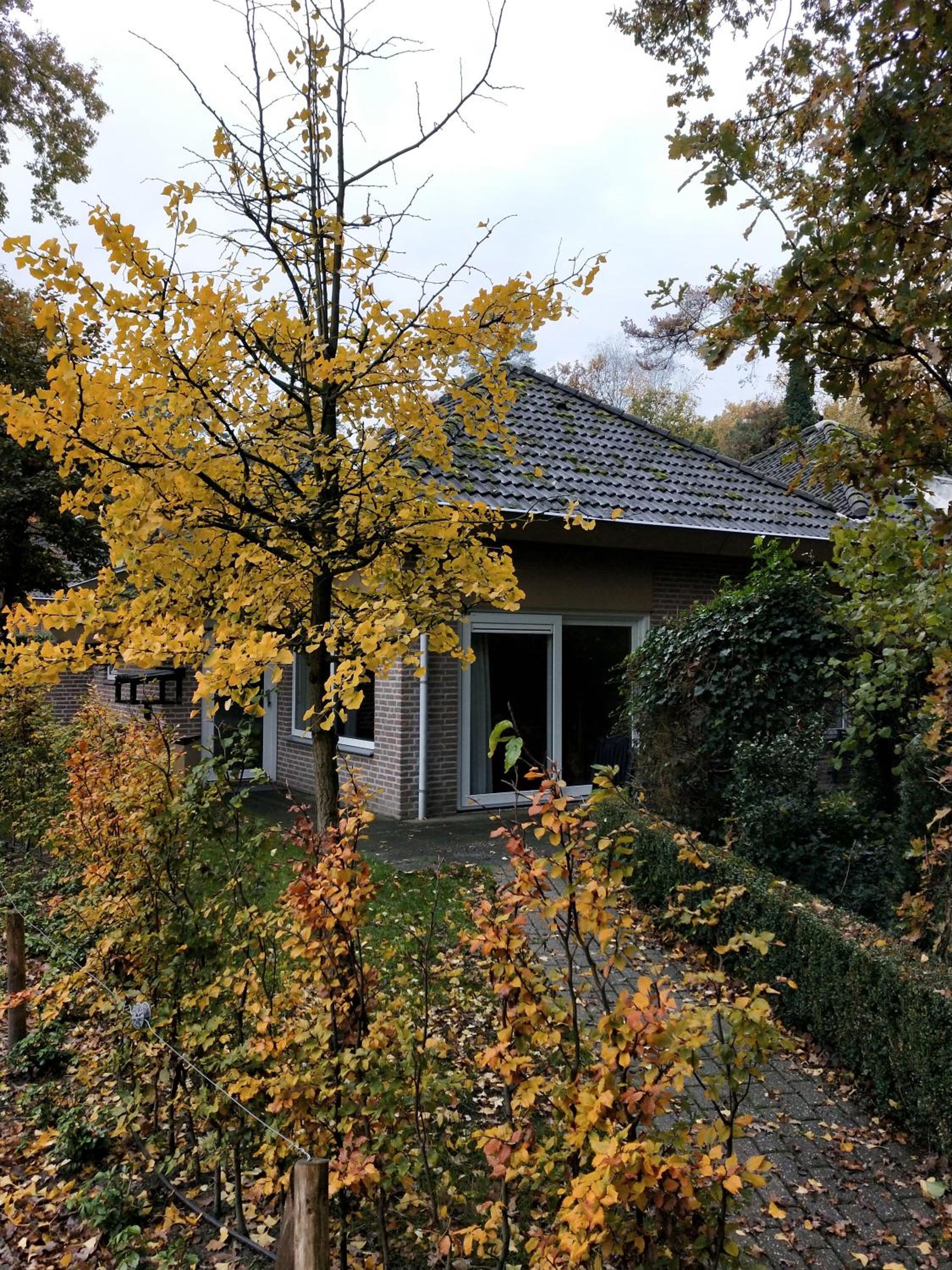 Three-Bedroom House photo 2