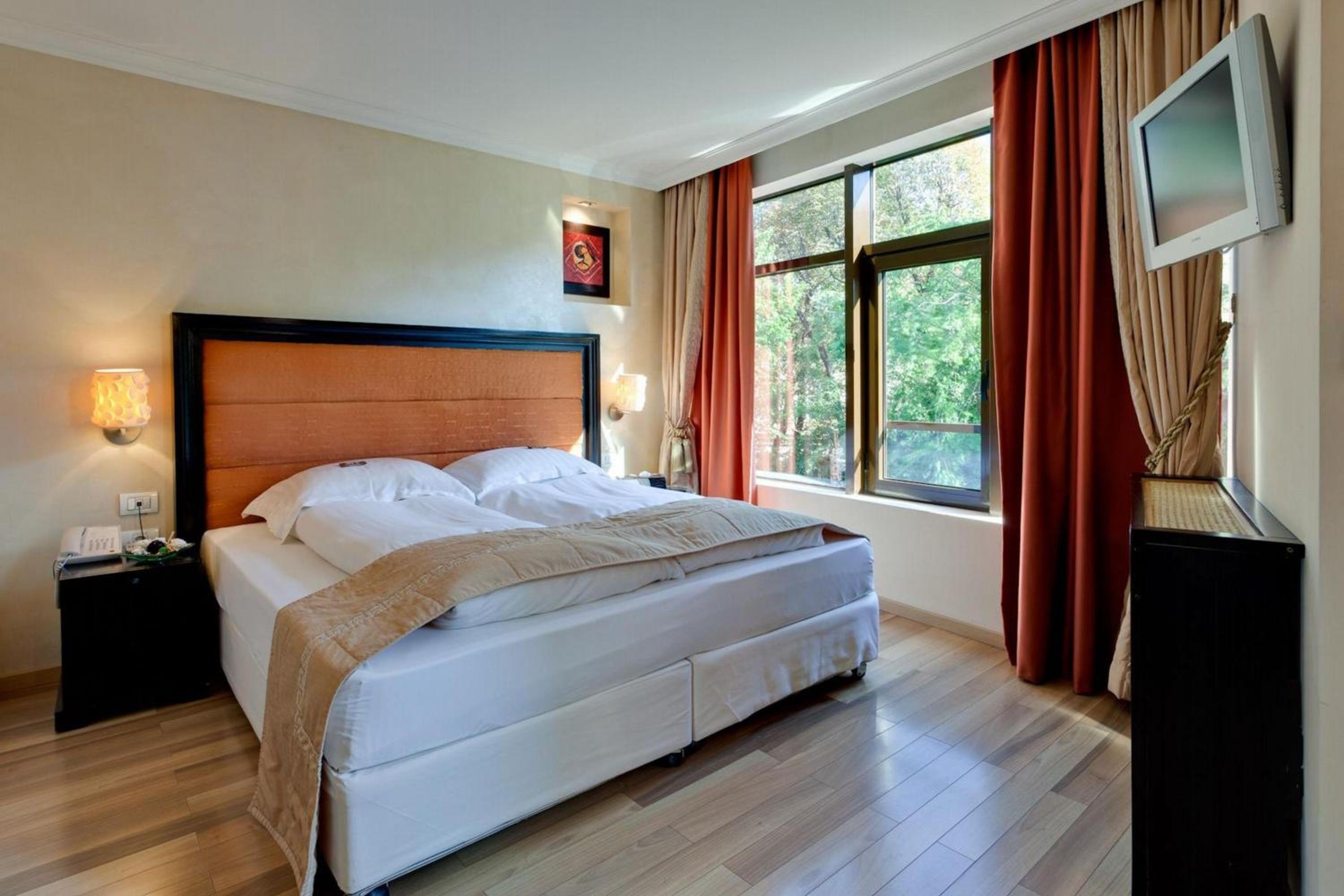 Deluxe Double Room photo 1