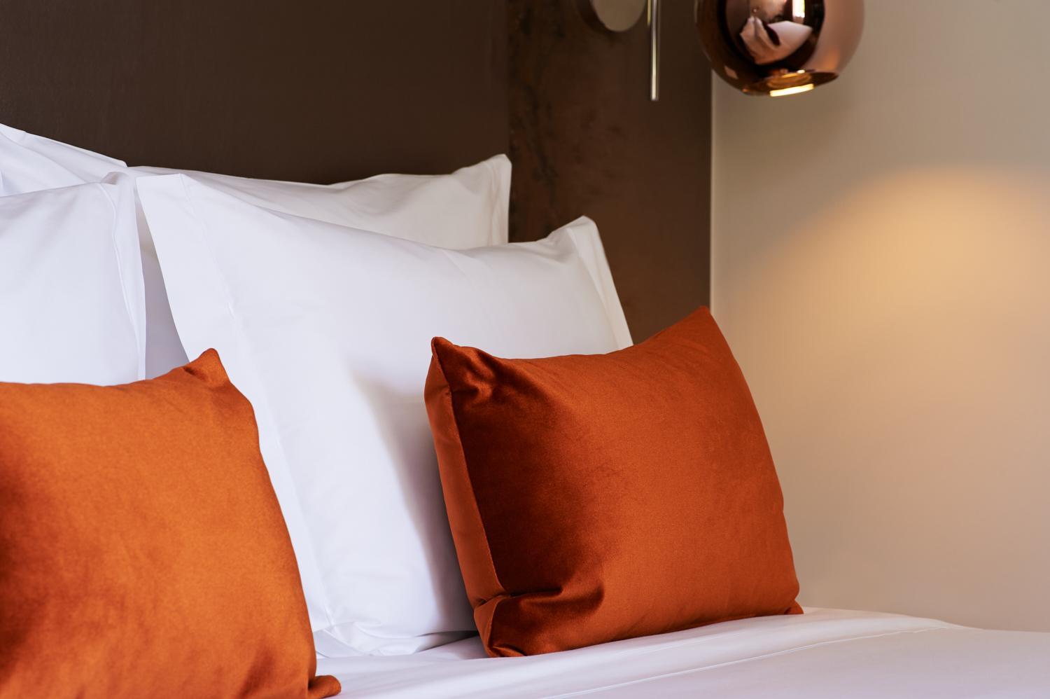 Superior Deluxe Double or Twin Room