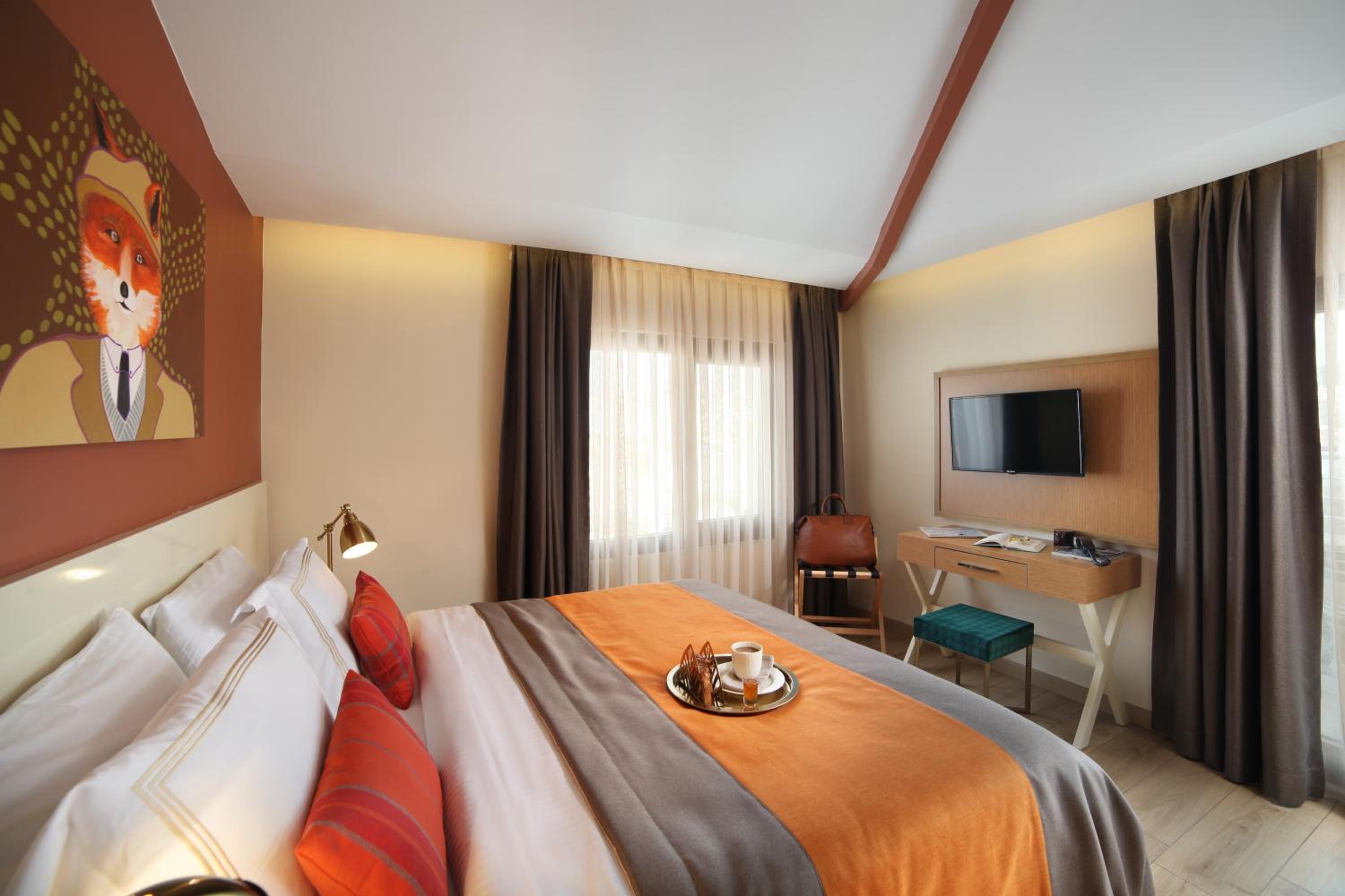 Deluxe Room with Terrace photo 2
