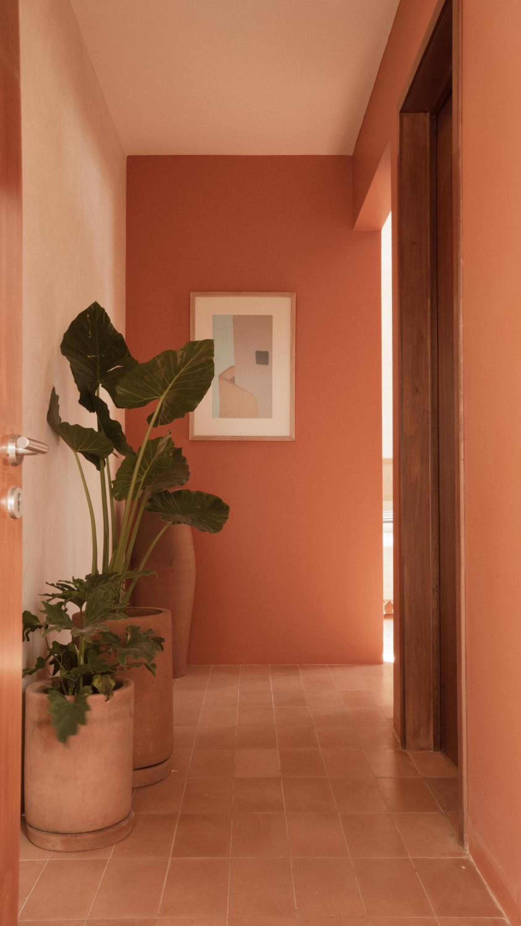 Classic Quadruple Room - Photo 16