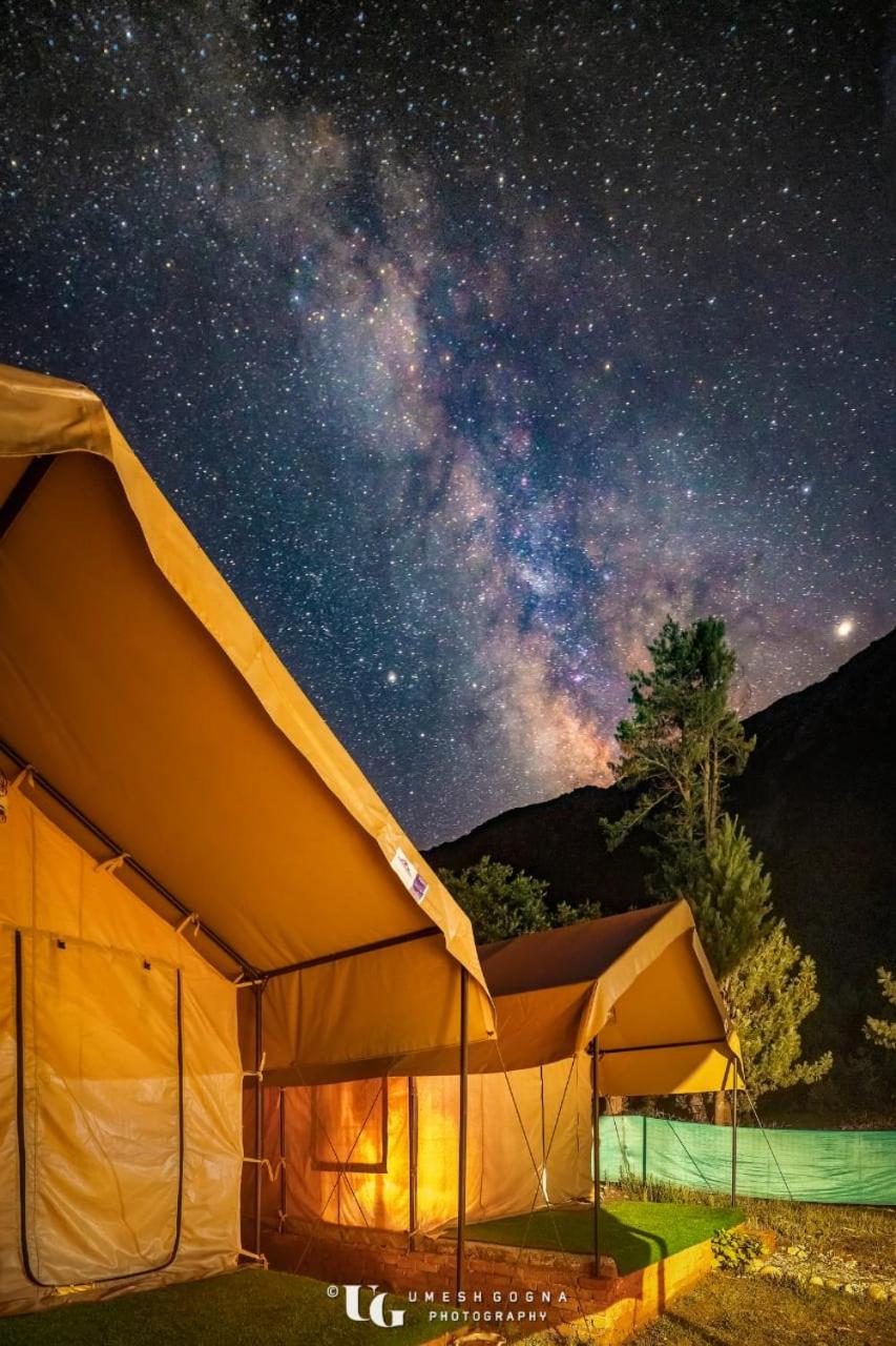 Luxury Tent - Photo 13
