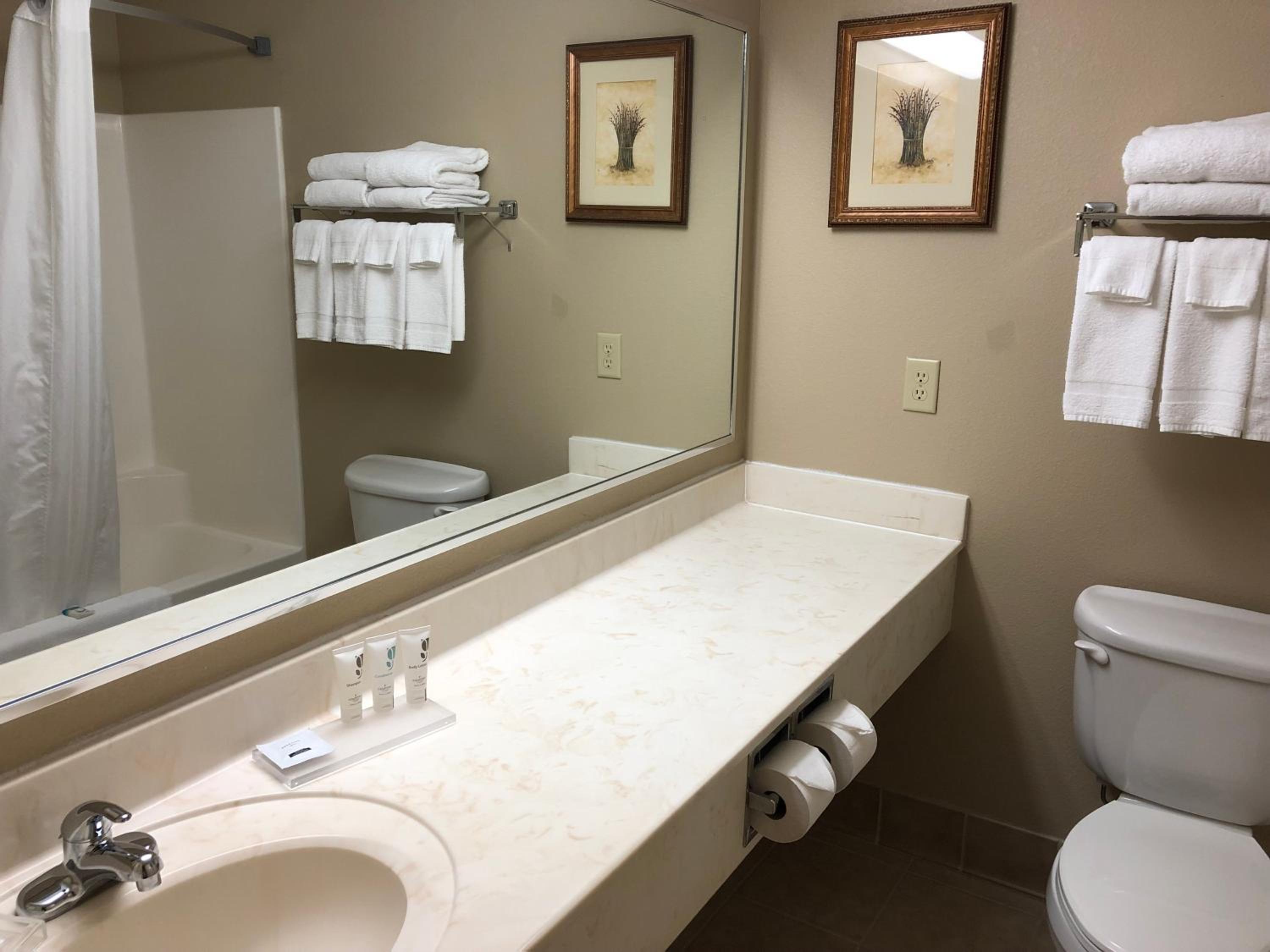 1 King Bed, Efficiency Suite, Non-Smoking - Photo 2