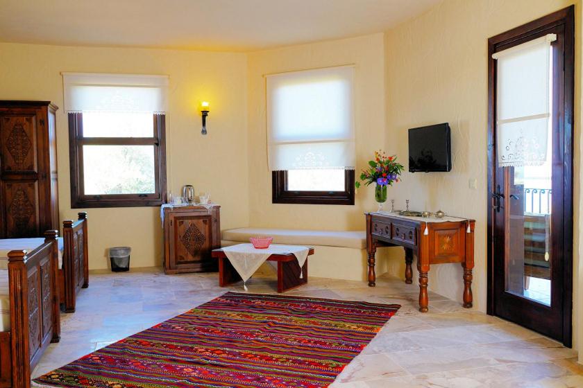 Superior Deluxe Twin Room with Jacuzzi - Photo 5