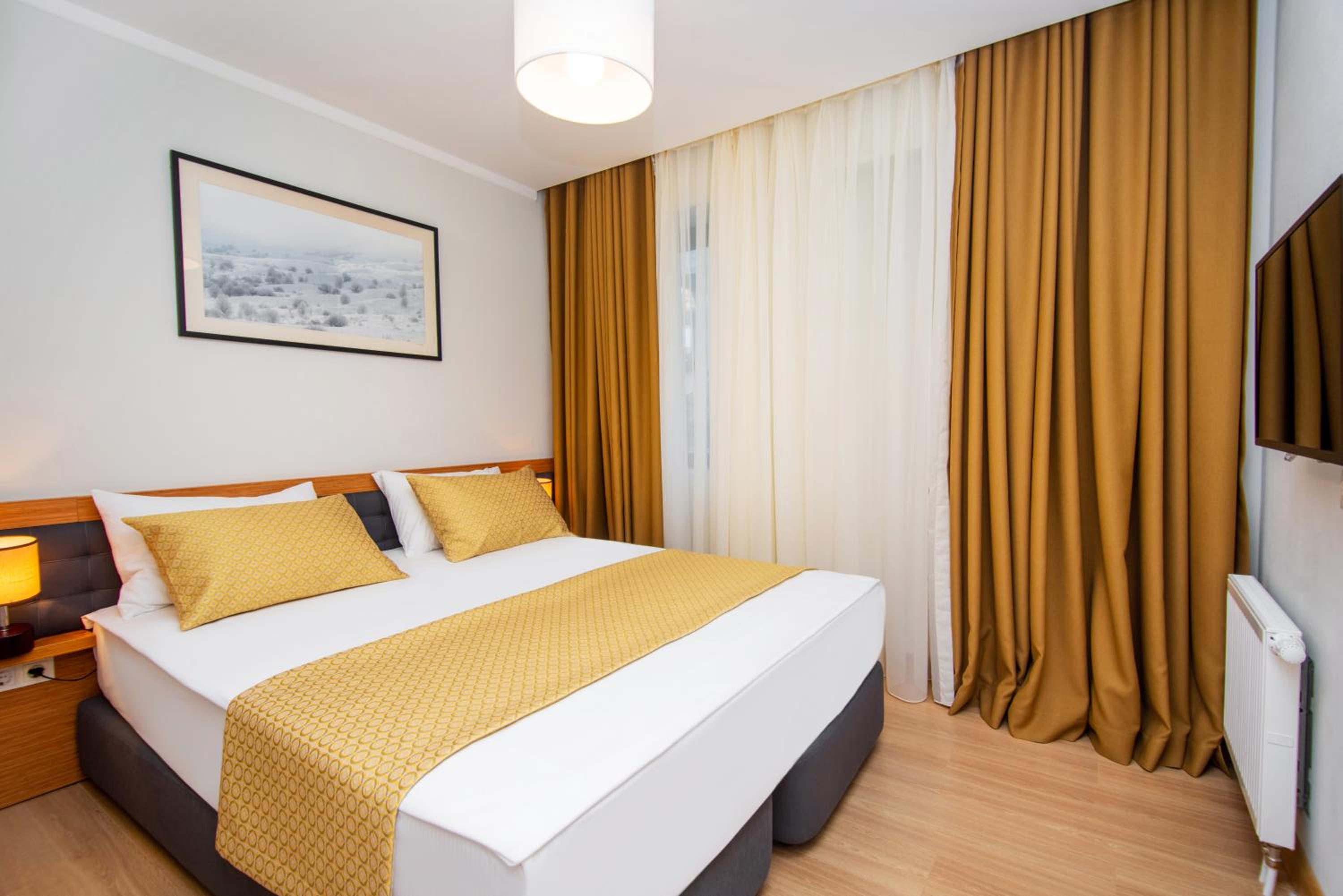 One-Bedroom Suite - Photo 4