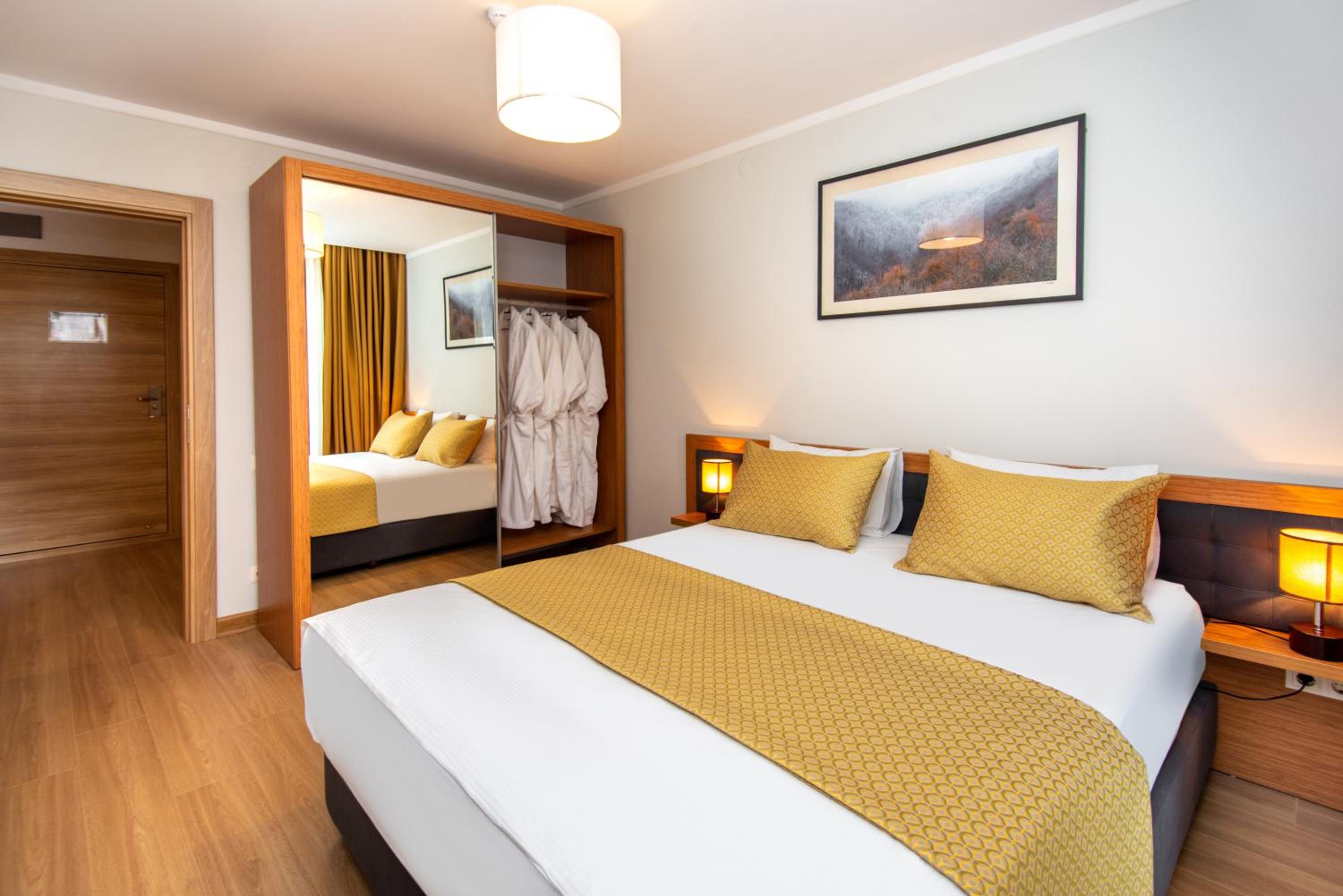 One-Bedroom Suite - Photo 10