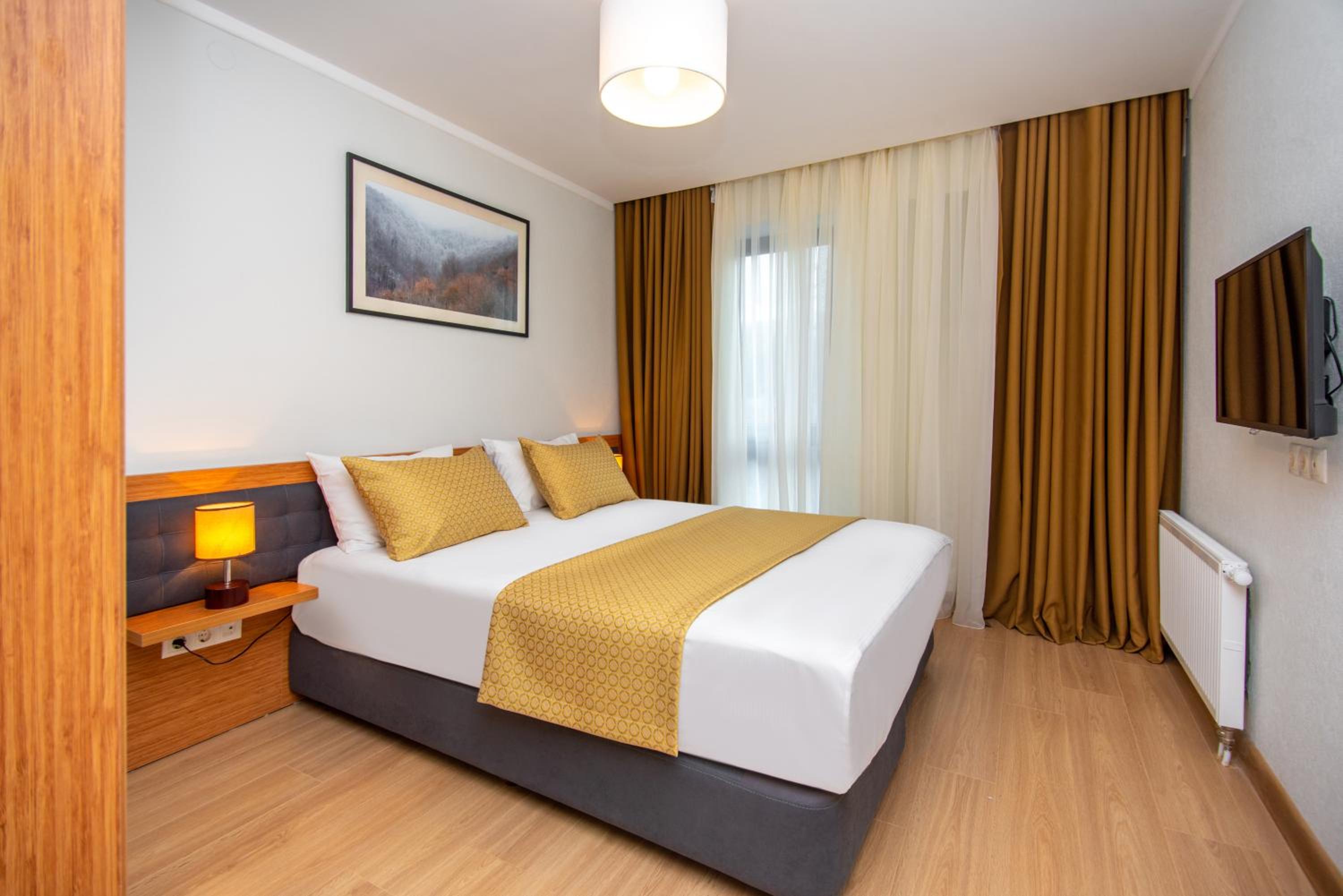 One-Bedroom Suite - Photo 11