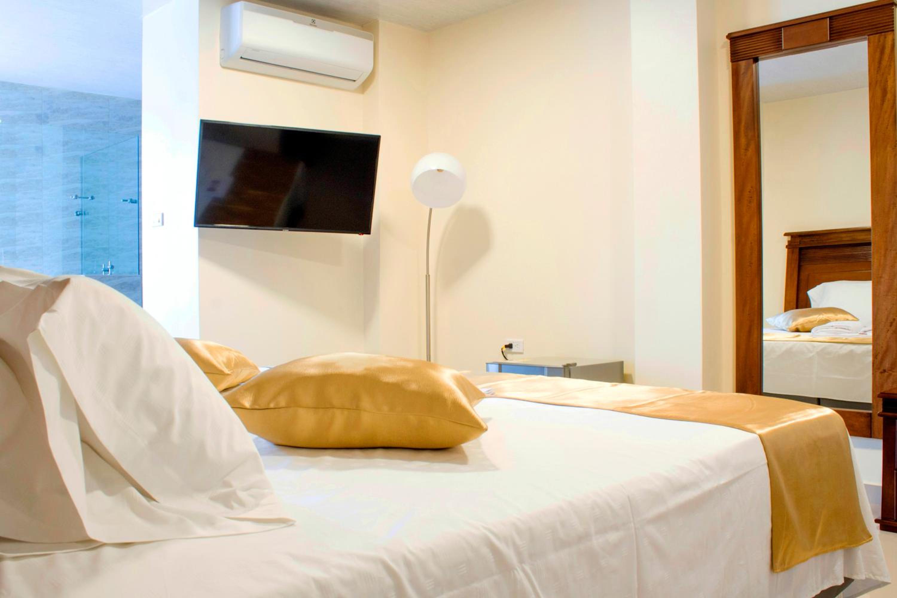 King Suite with Spa Bath photo 3