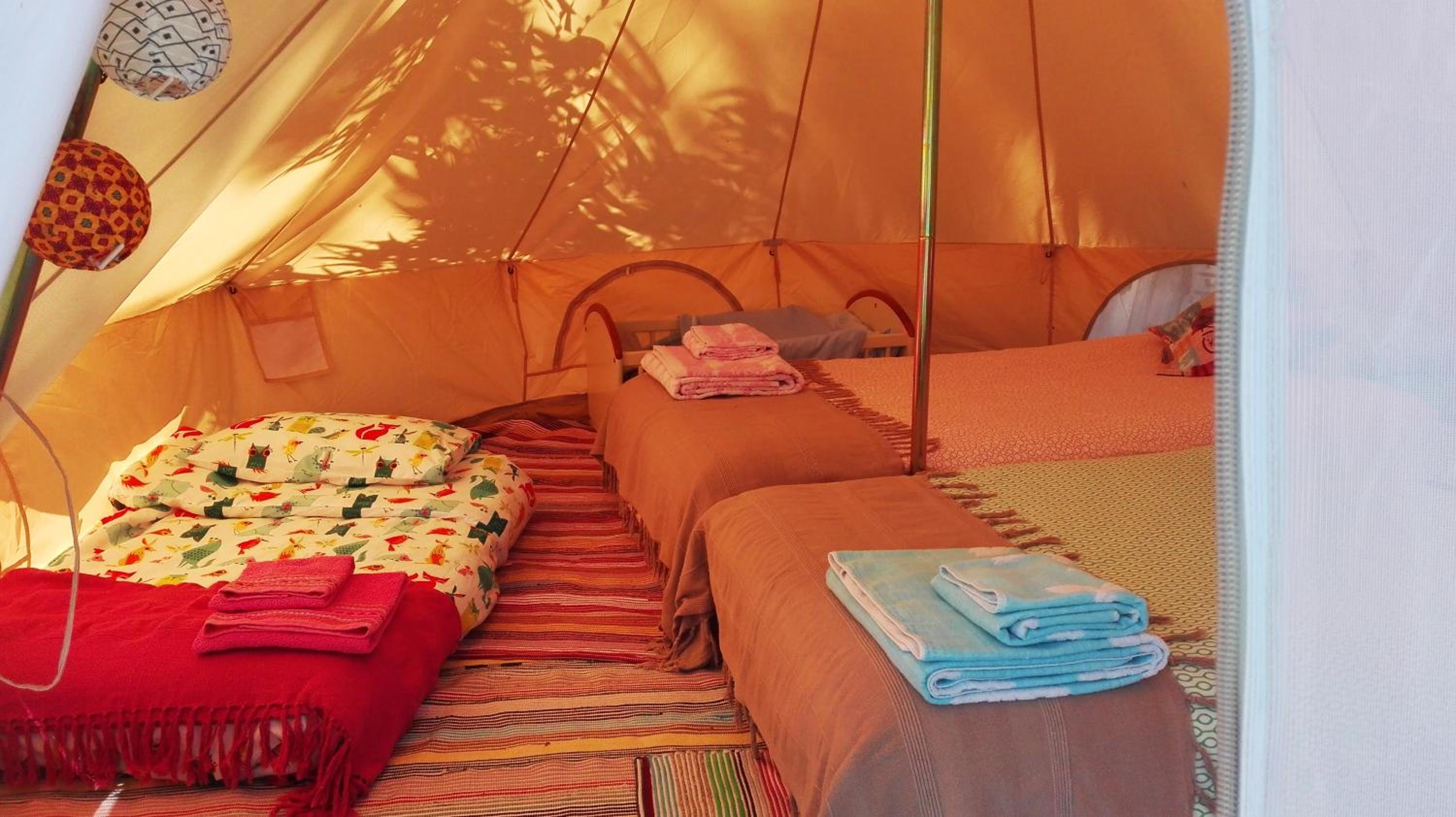 TENT 1  - Photo 16