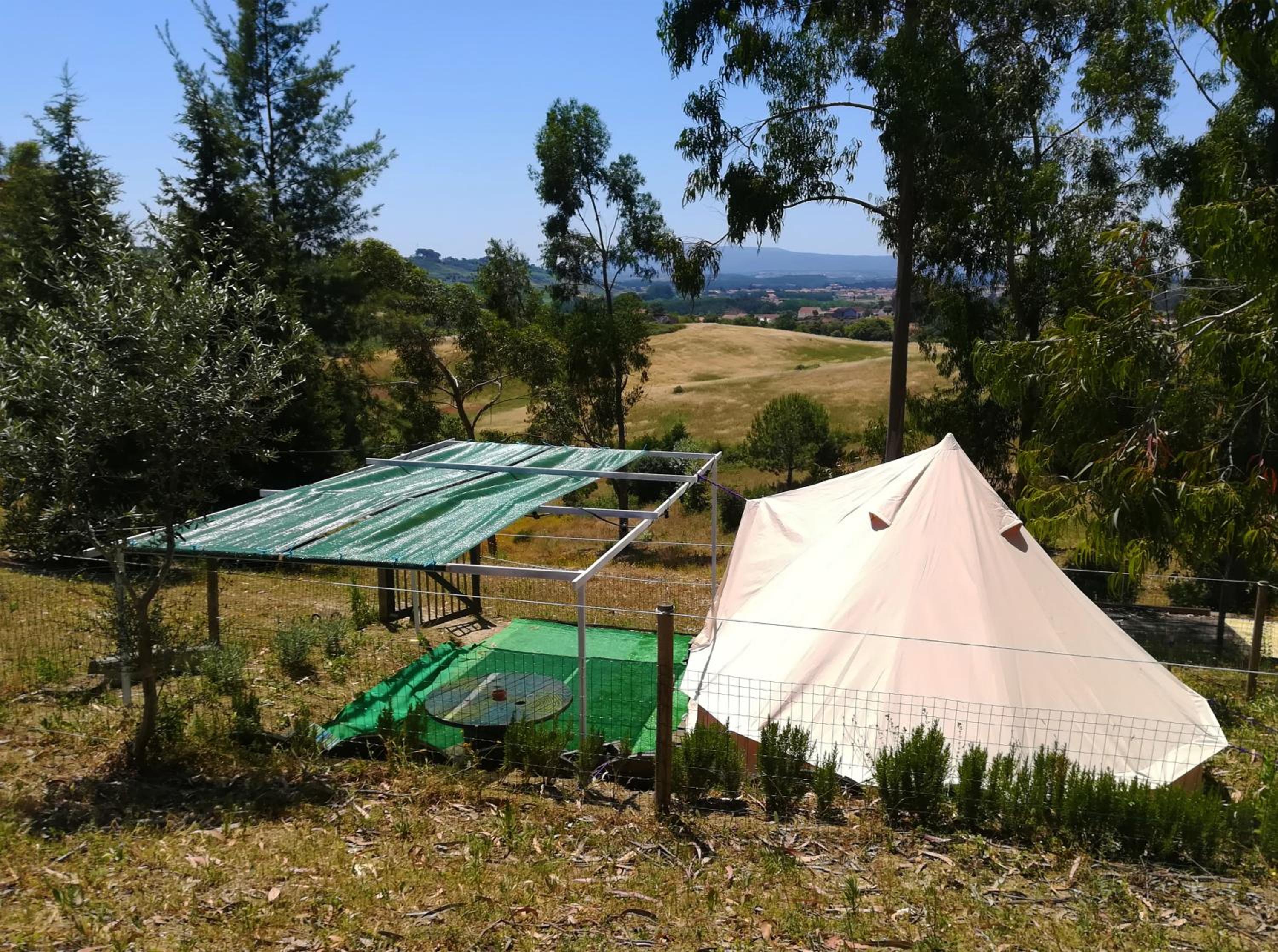 TENT 1  - Photo 25