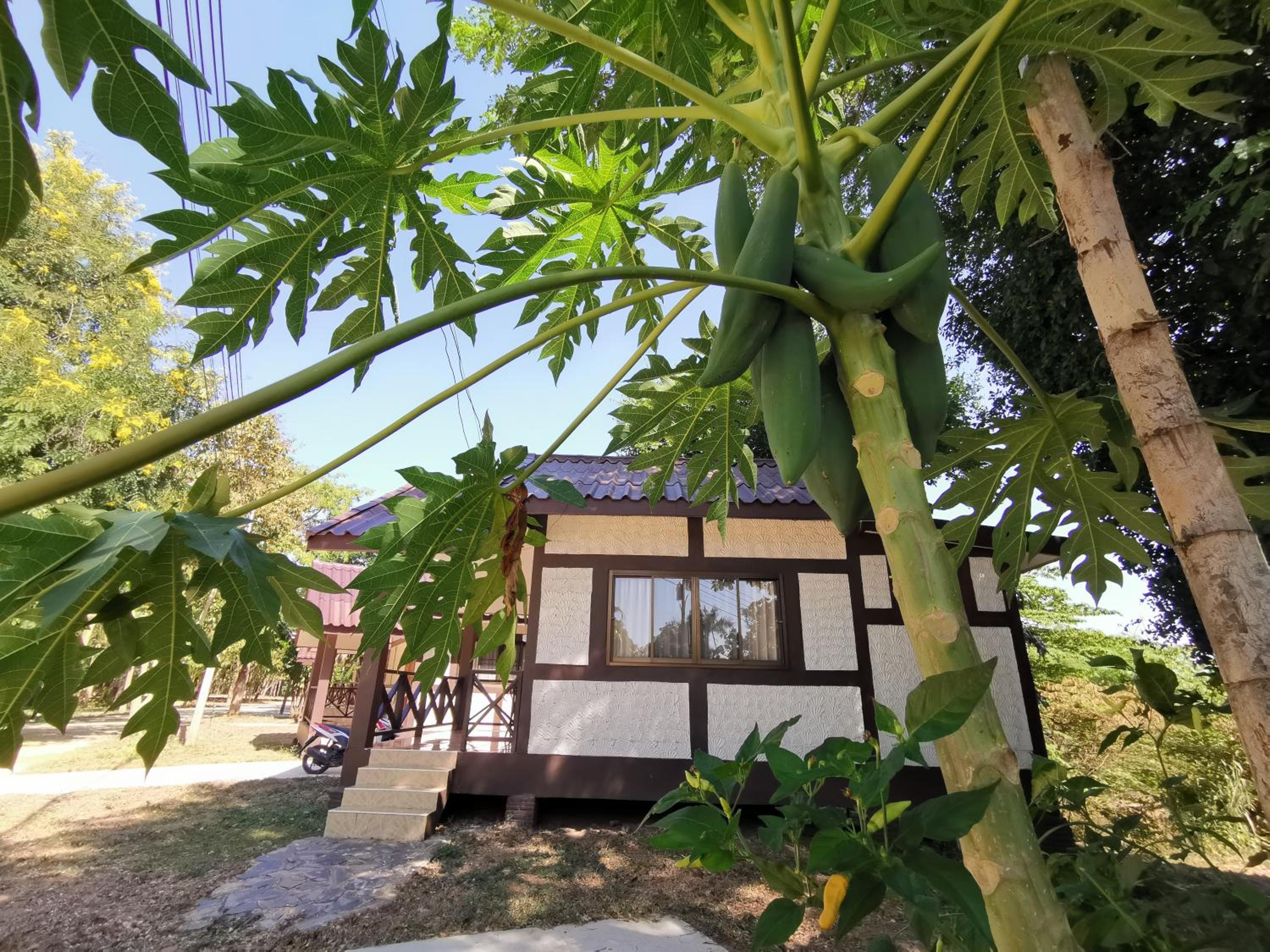 Vacation Home photo 1