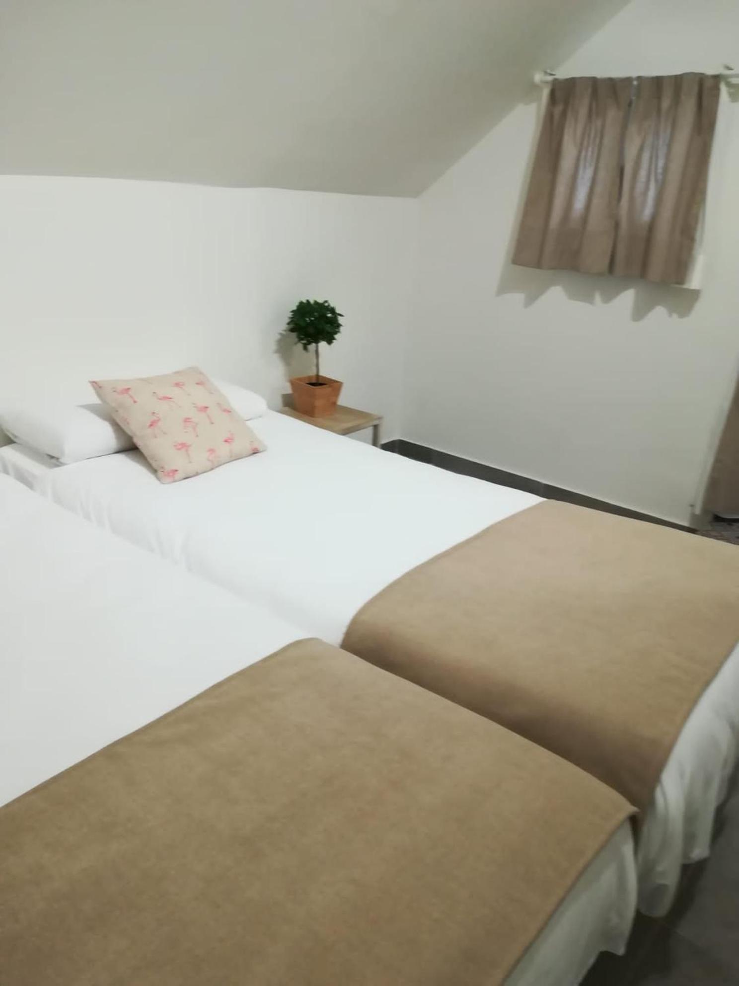 Apartamento con Terraza