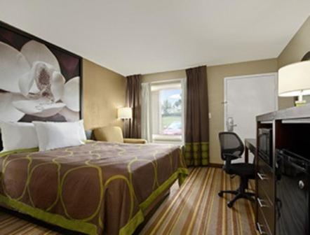 Queen Room - Non-Smoking - Photo 1