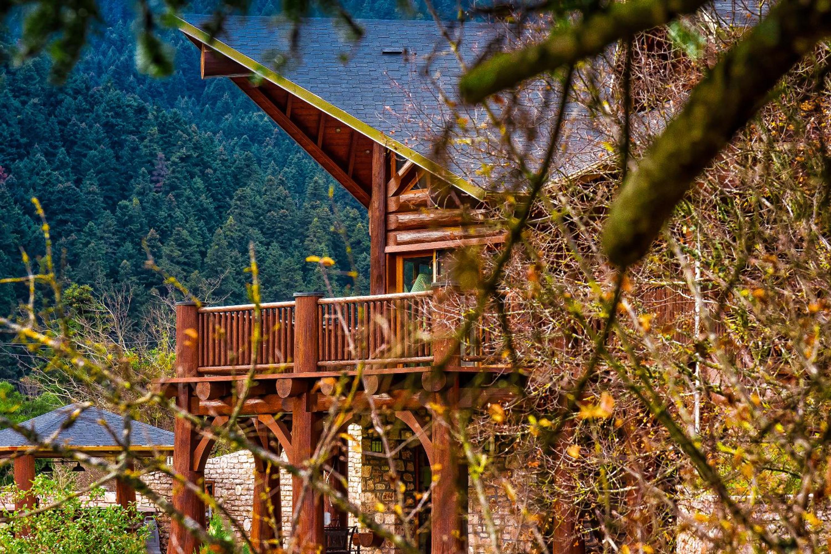 Superior Chalet with Sauna and Swimming Pool  photo 3