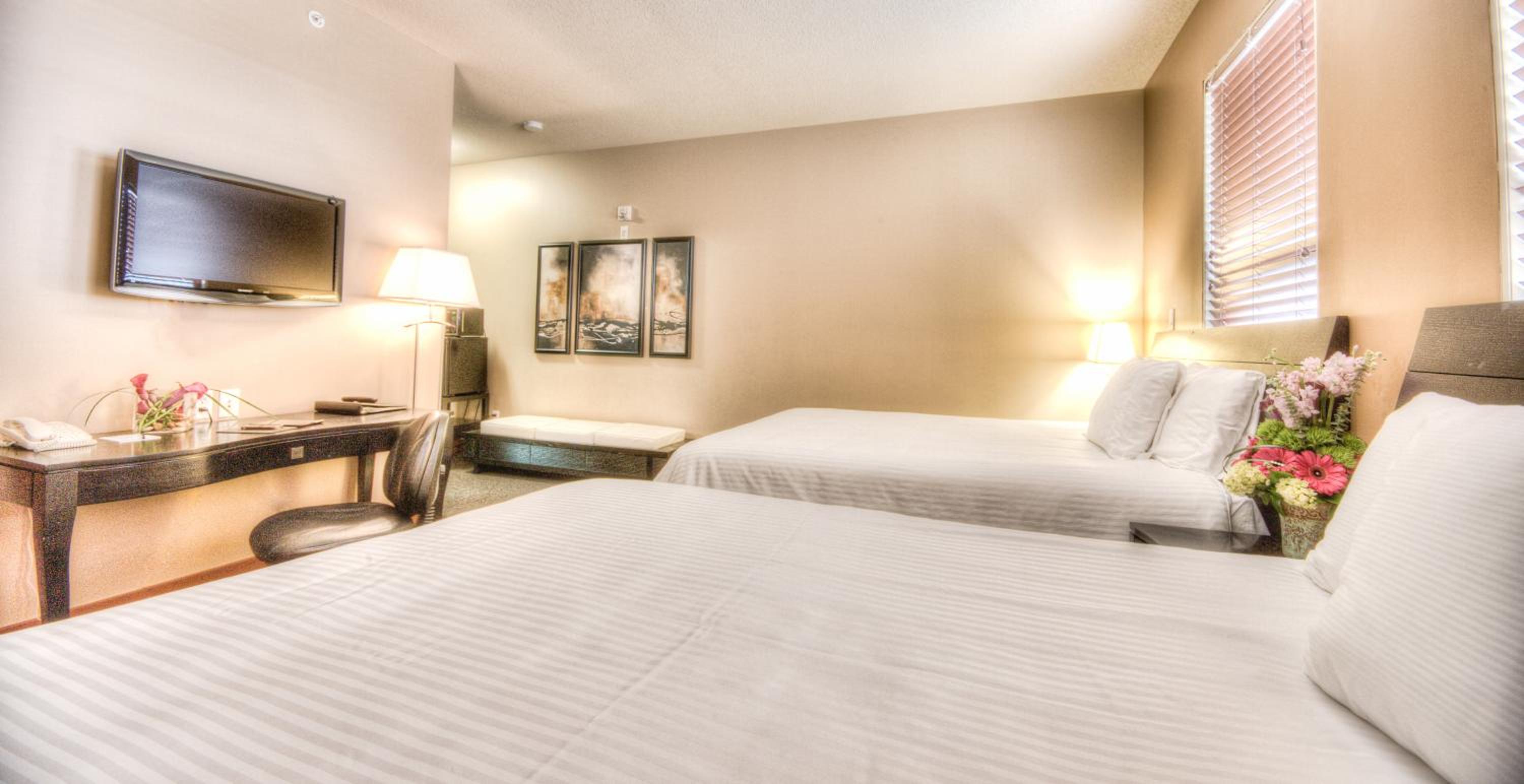 Executive Queen Room - Photo 4