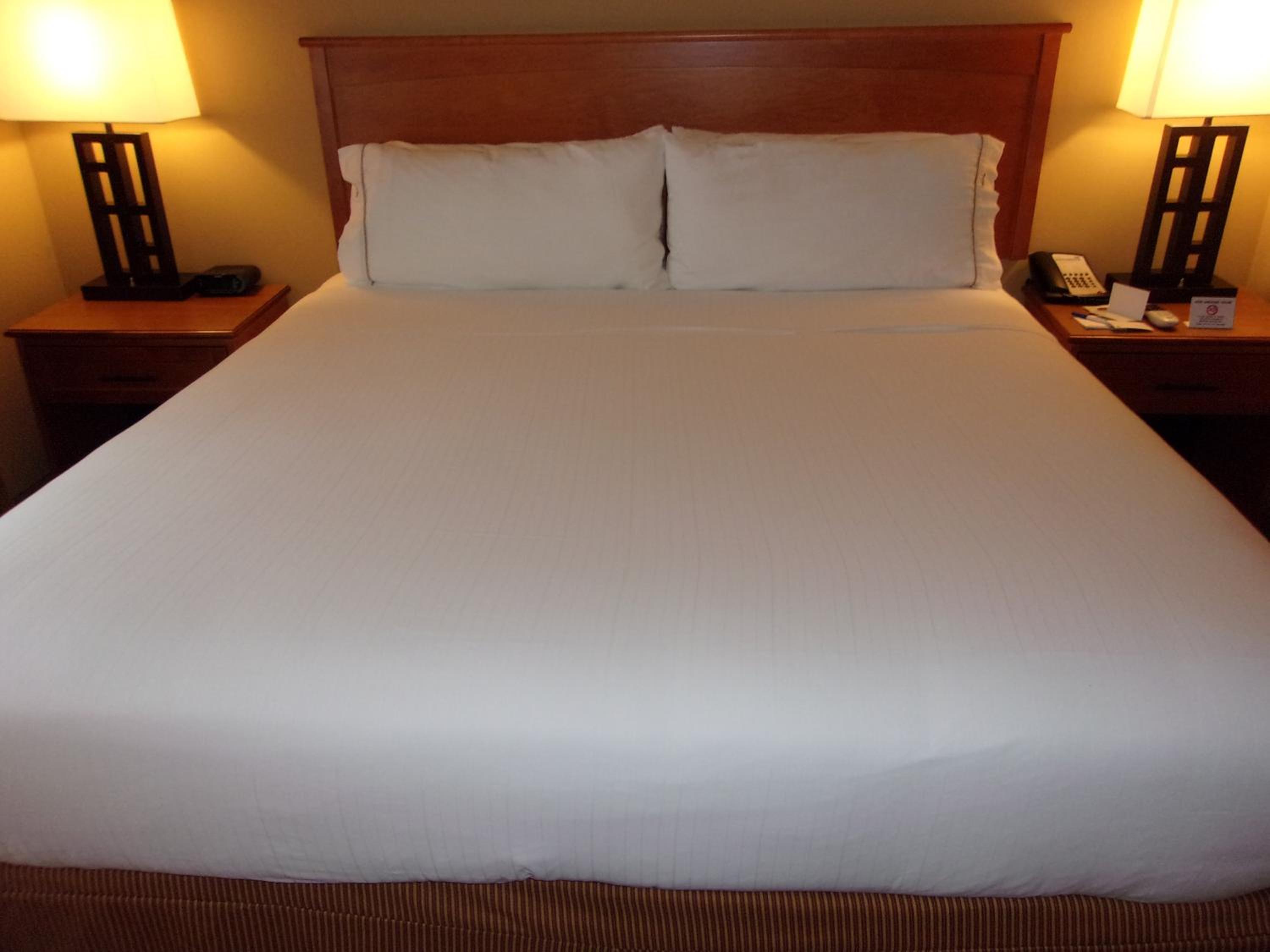 One-Bedroom Suite with Sofa Bed - Photo 2