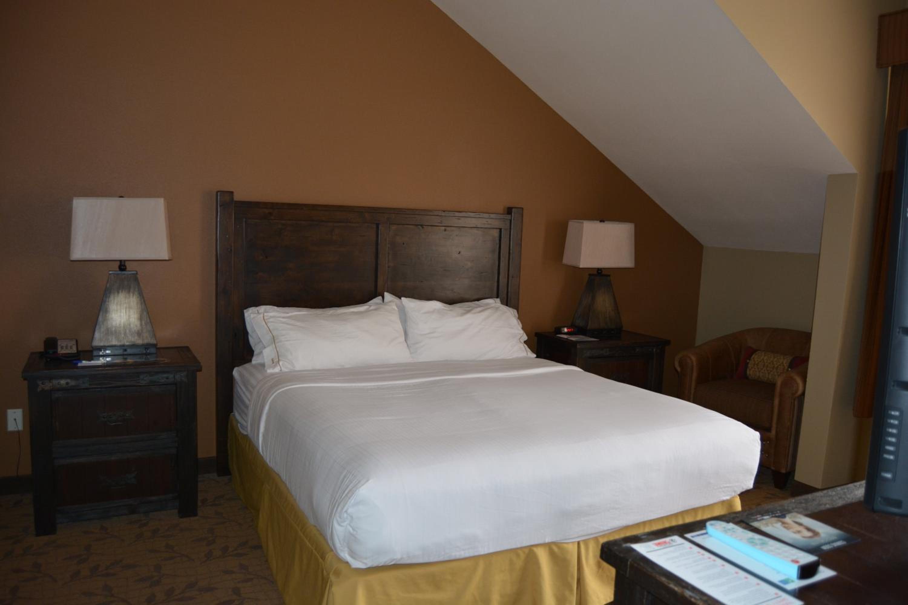 One-Bedroom King Suite - Photo 4