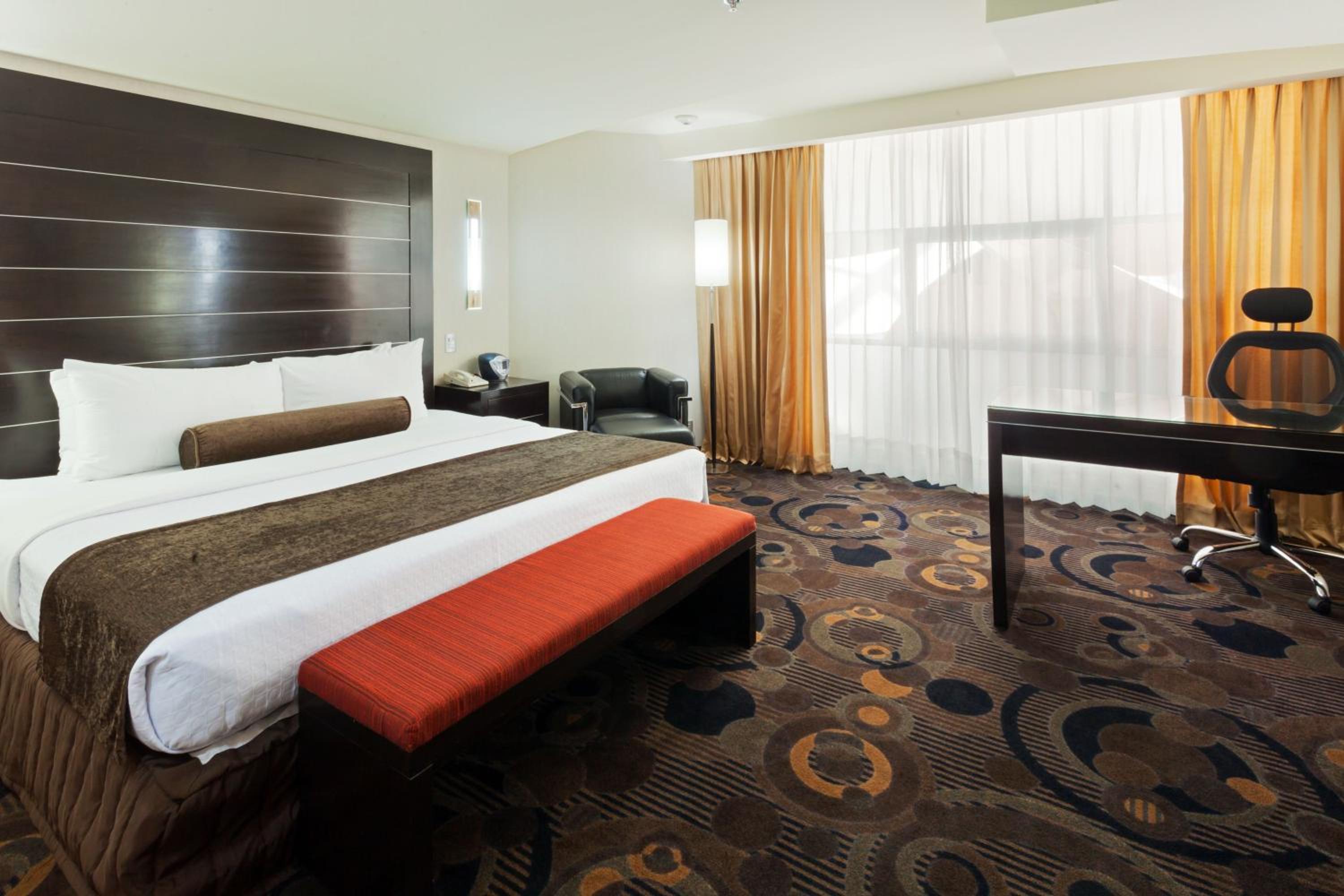One-Bedroom King Suite - Photo 4