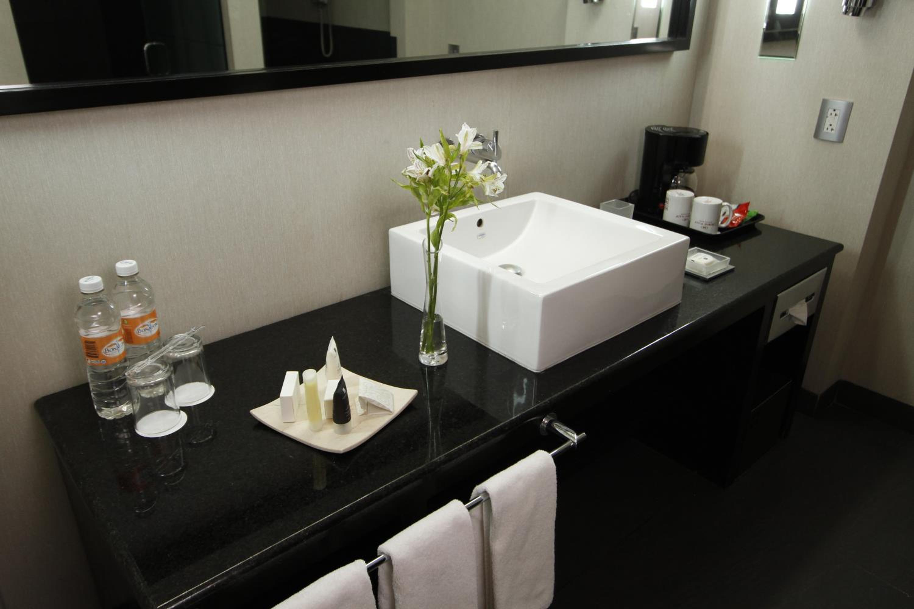 One-Bedroom King Suite - Photo 6