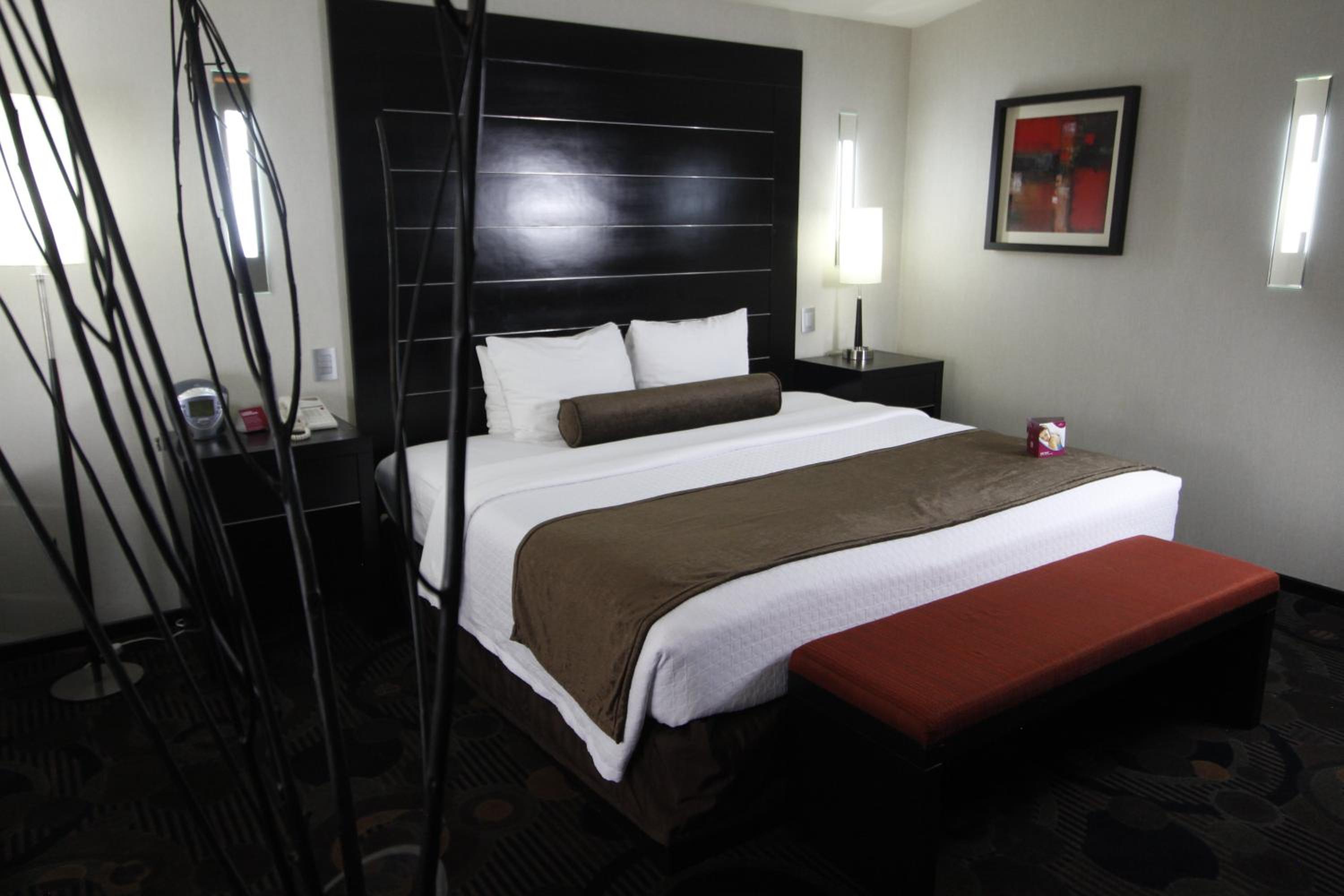 One-Bedroom King Suite - Photo 3