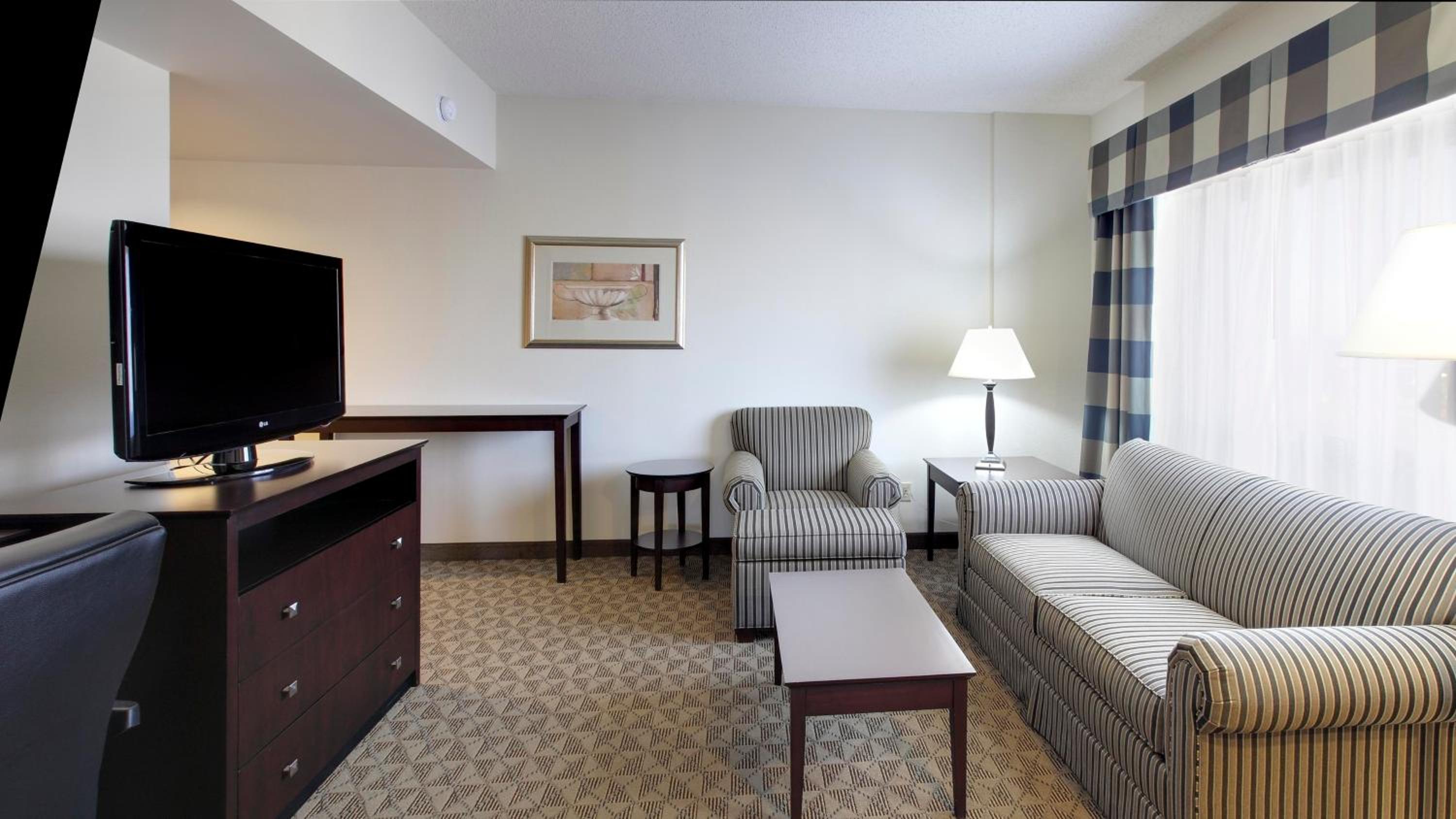 One-Bedroom Suite - Photo 4