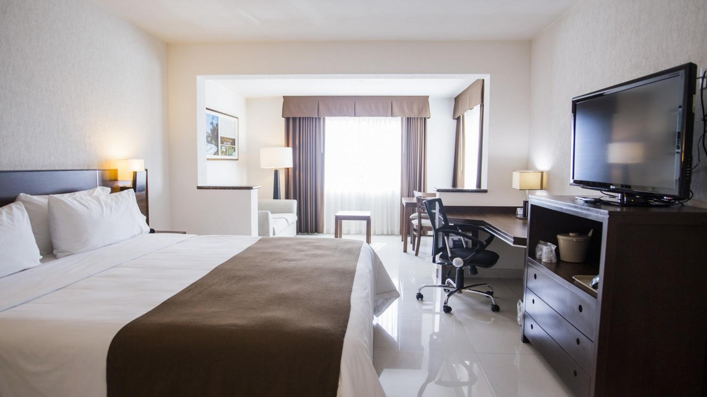 King Suite - Photo 8