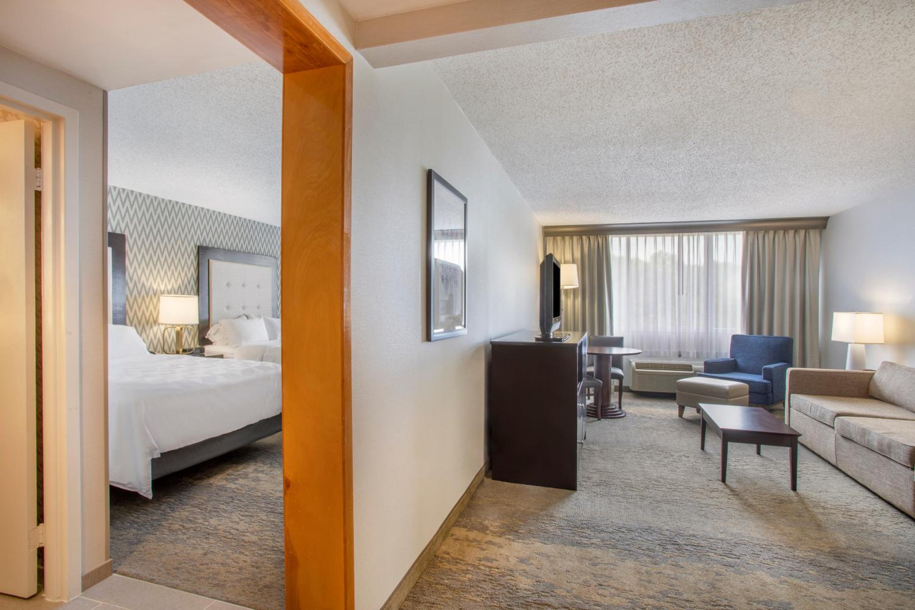 One-Bedroom Suite with Sofa Bed photo 3