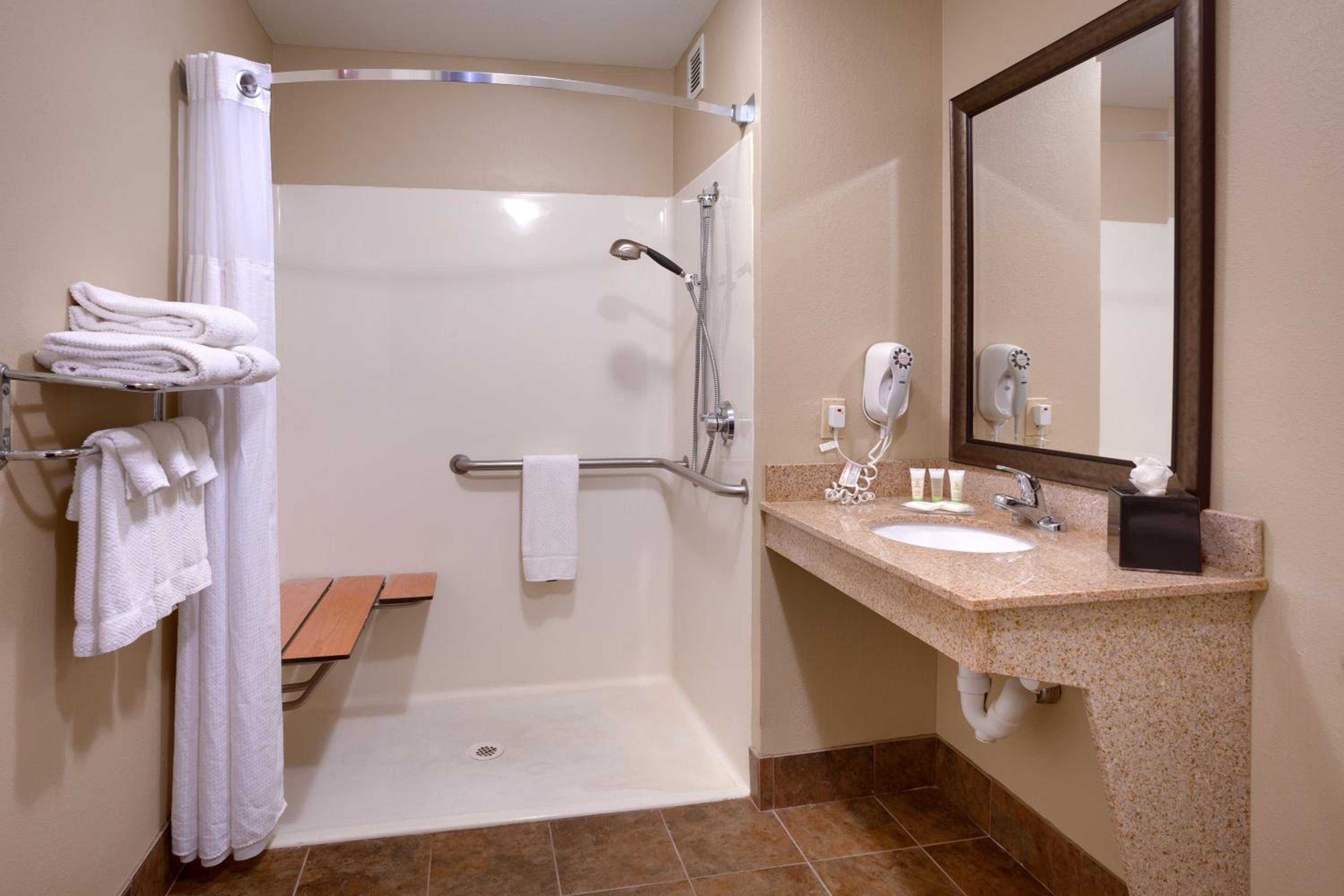 One-Bedroom Suite with Roll-In Shower - Communications Access - Photo 3