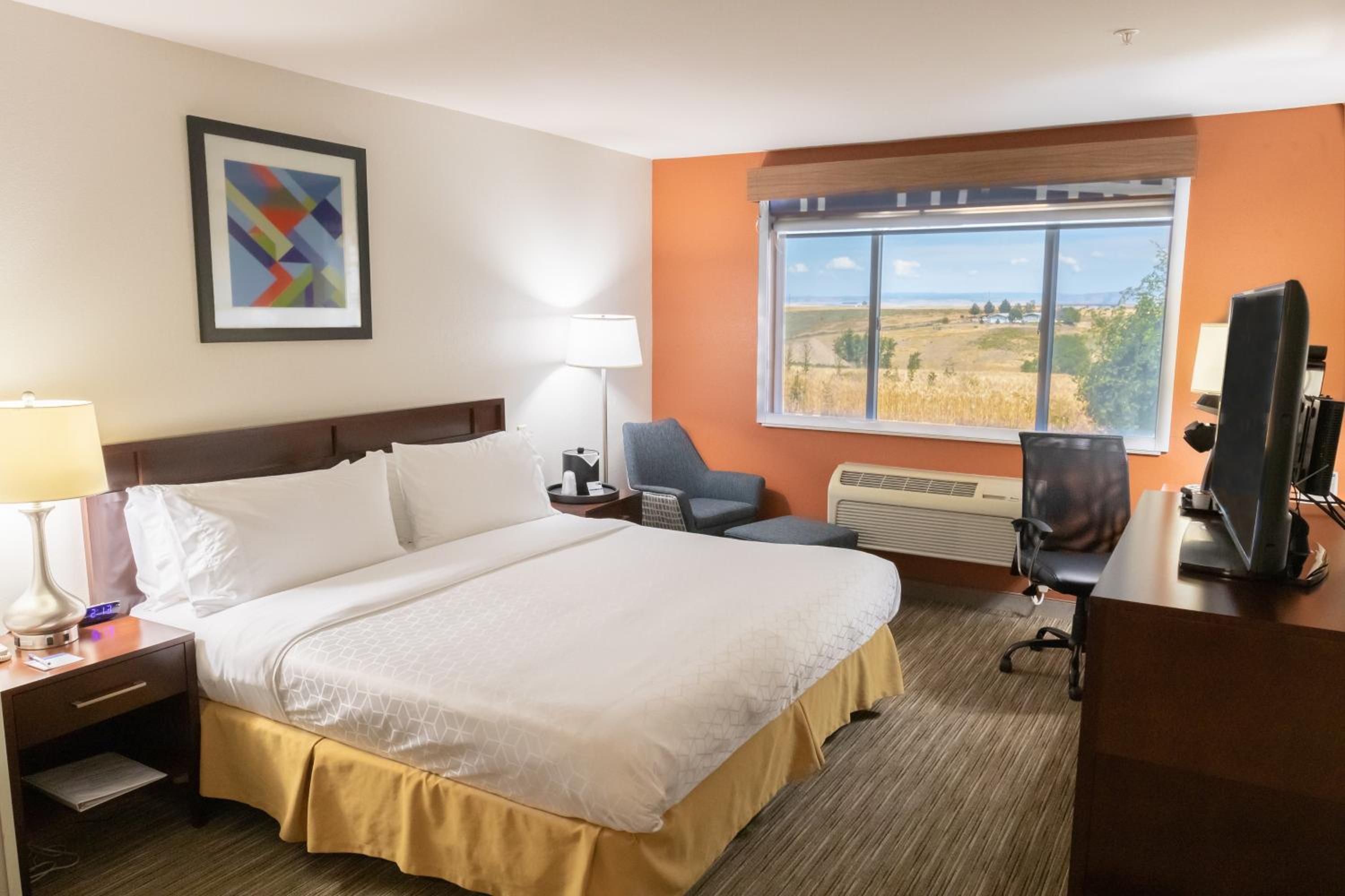 King Room - Mobility Access/Hearing Accessible photo 2
