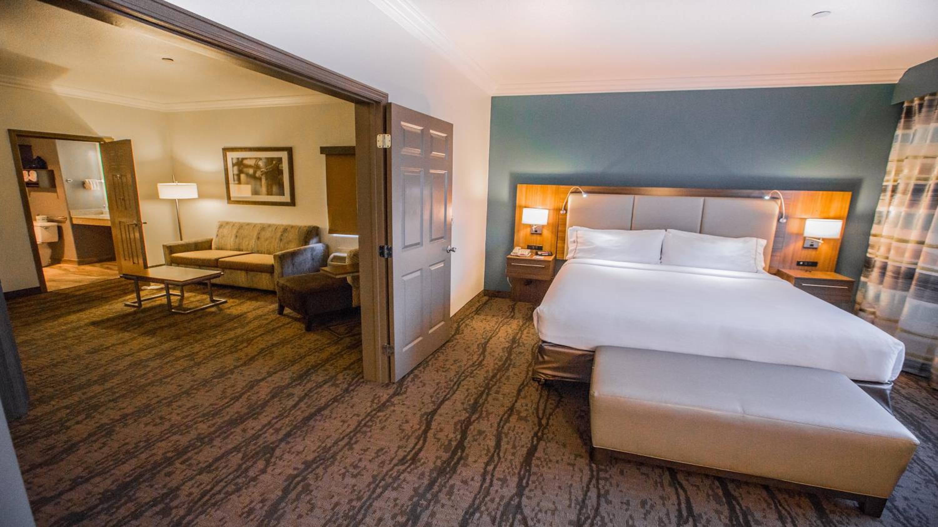 One-Bedroom Suite - Photo 1