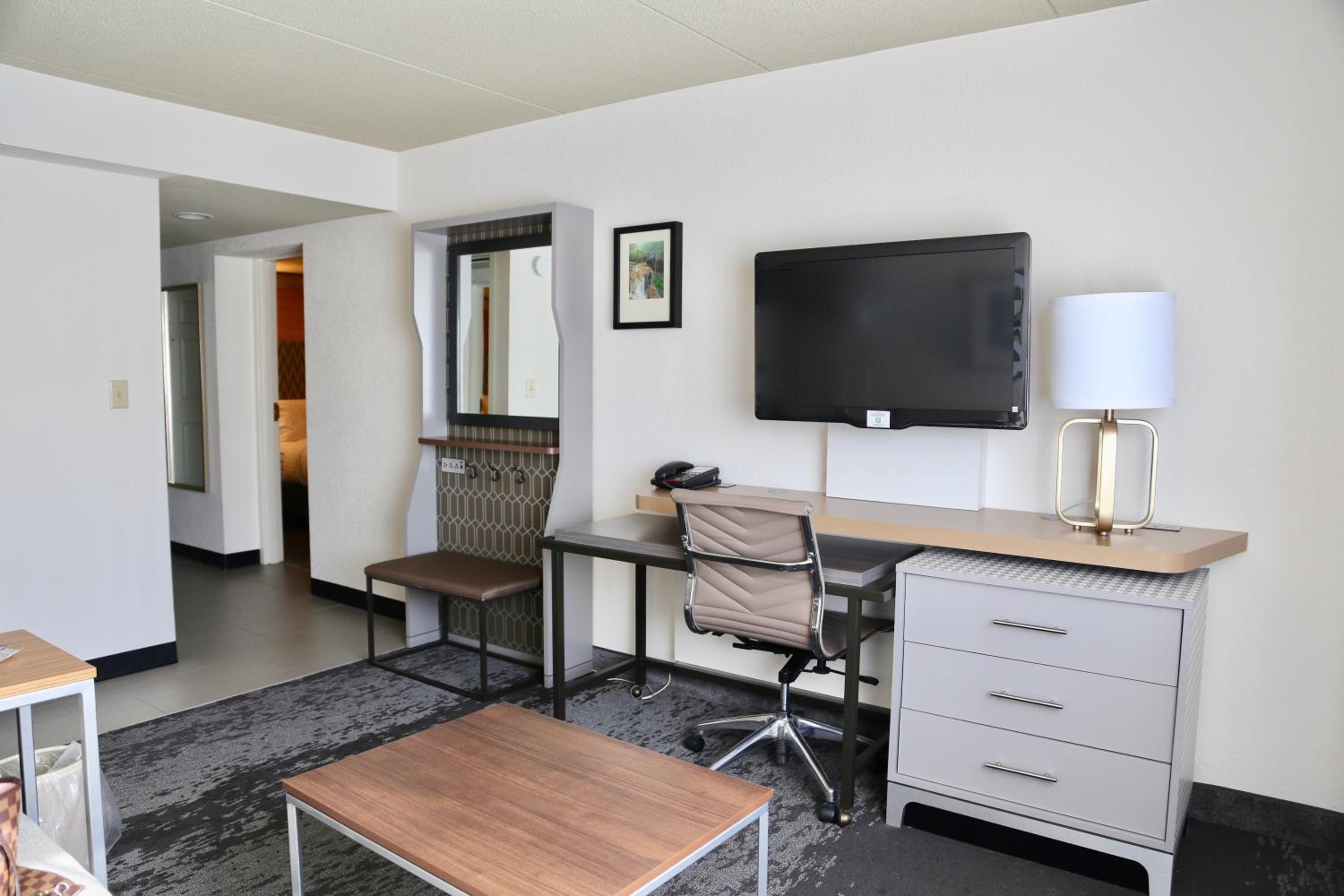 One-Bedroom King Suite - Photo 3