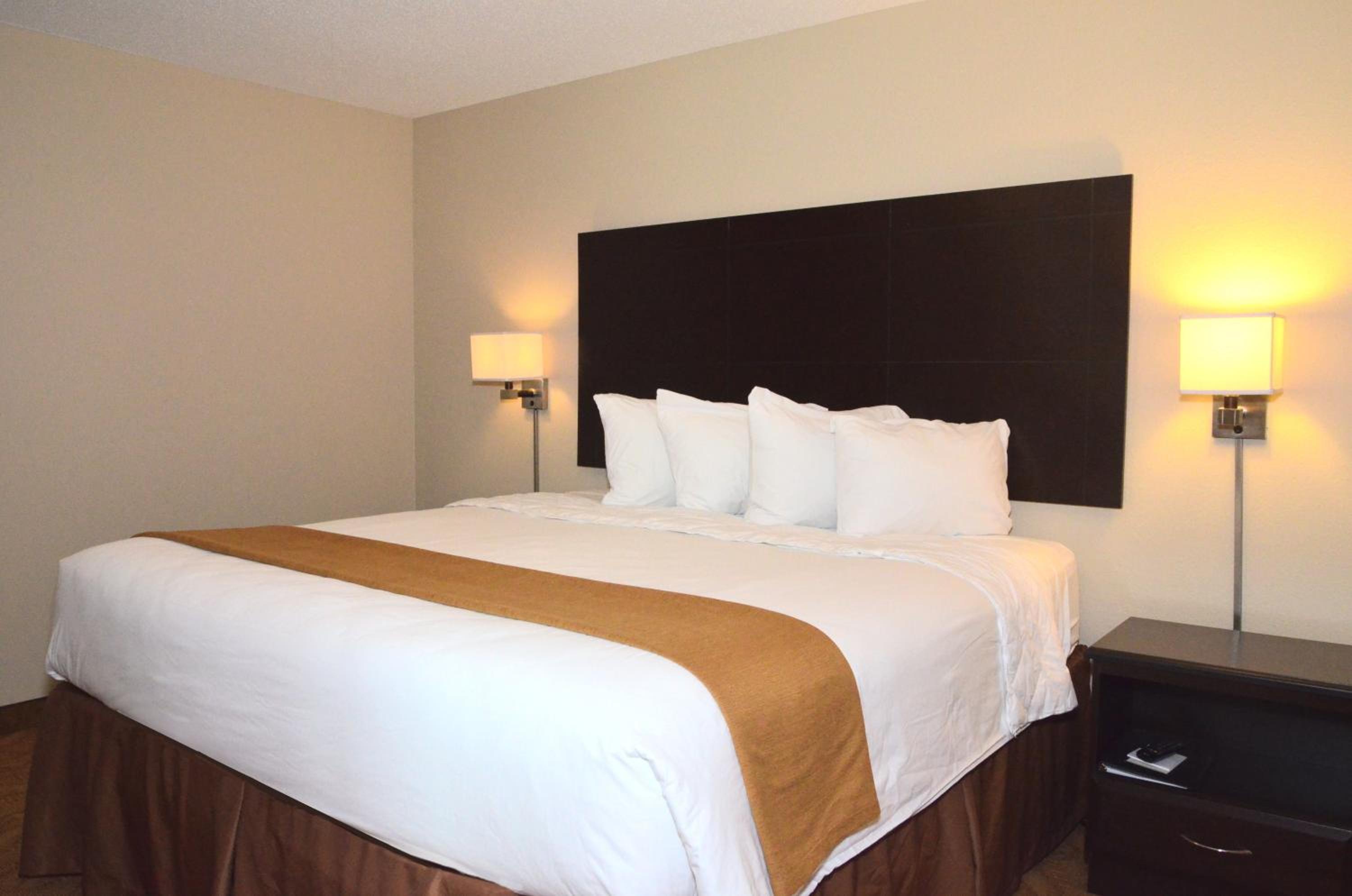 King Suite photo 1