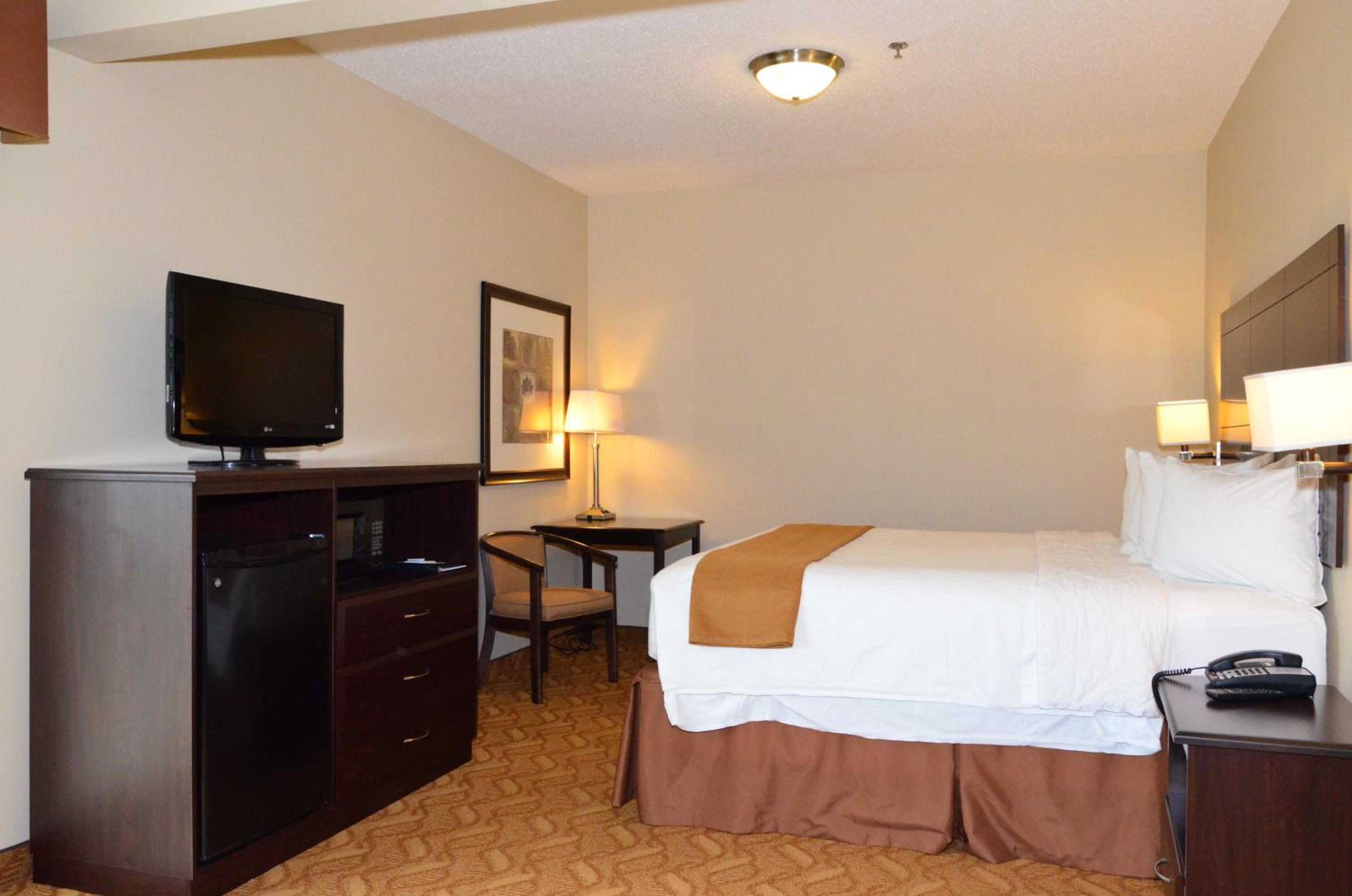 King Room - Disability Access photo 2